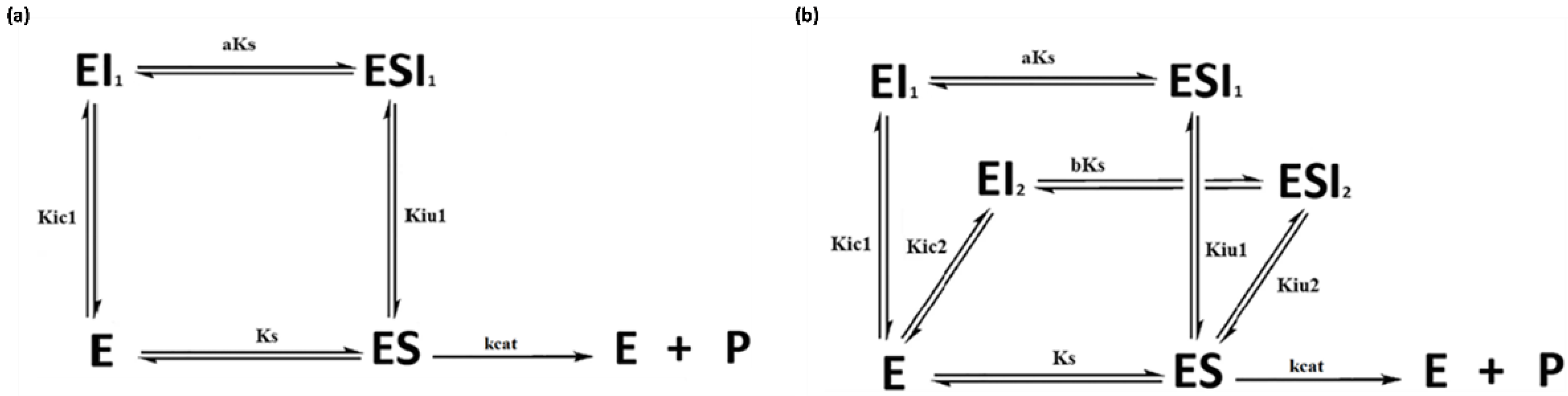 Applsci 12 00102 g001