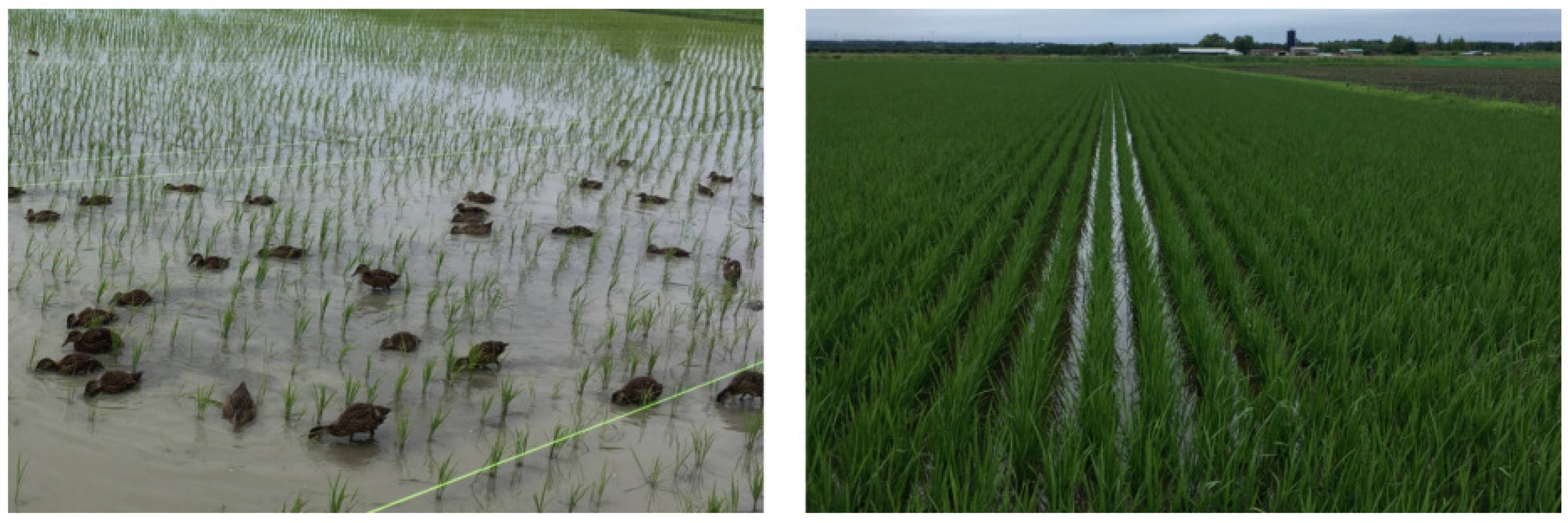 Applsci 12 00108 g001