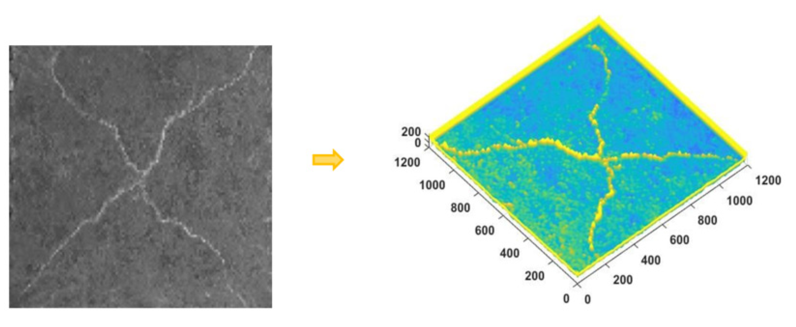 Applsci 12 00145 g005