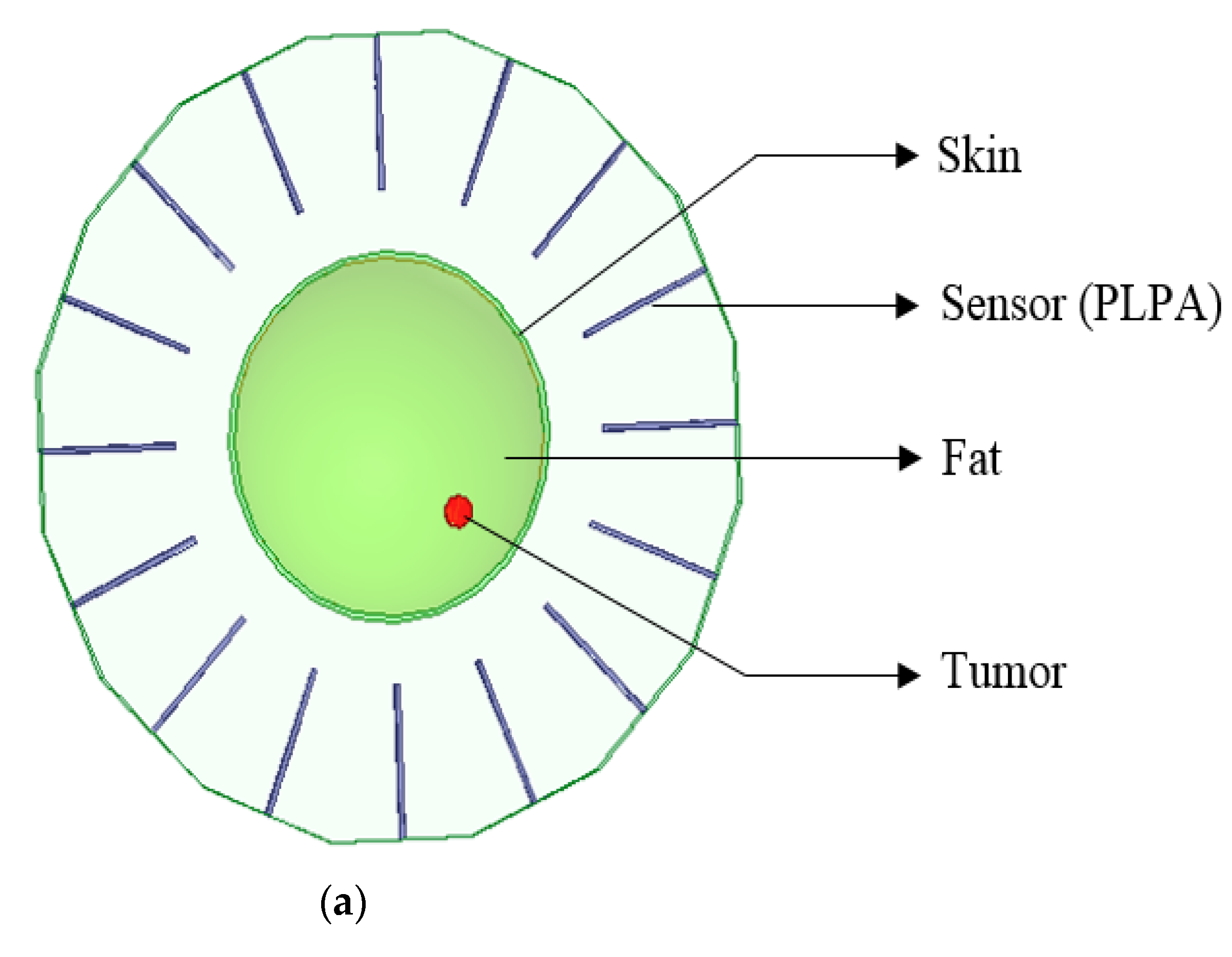 Applsci 12 00147 g009a