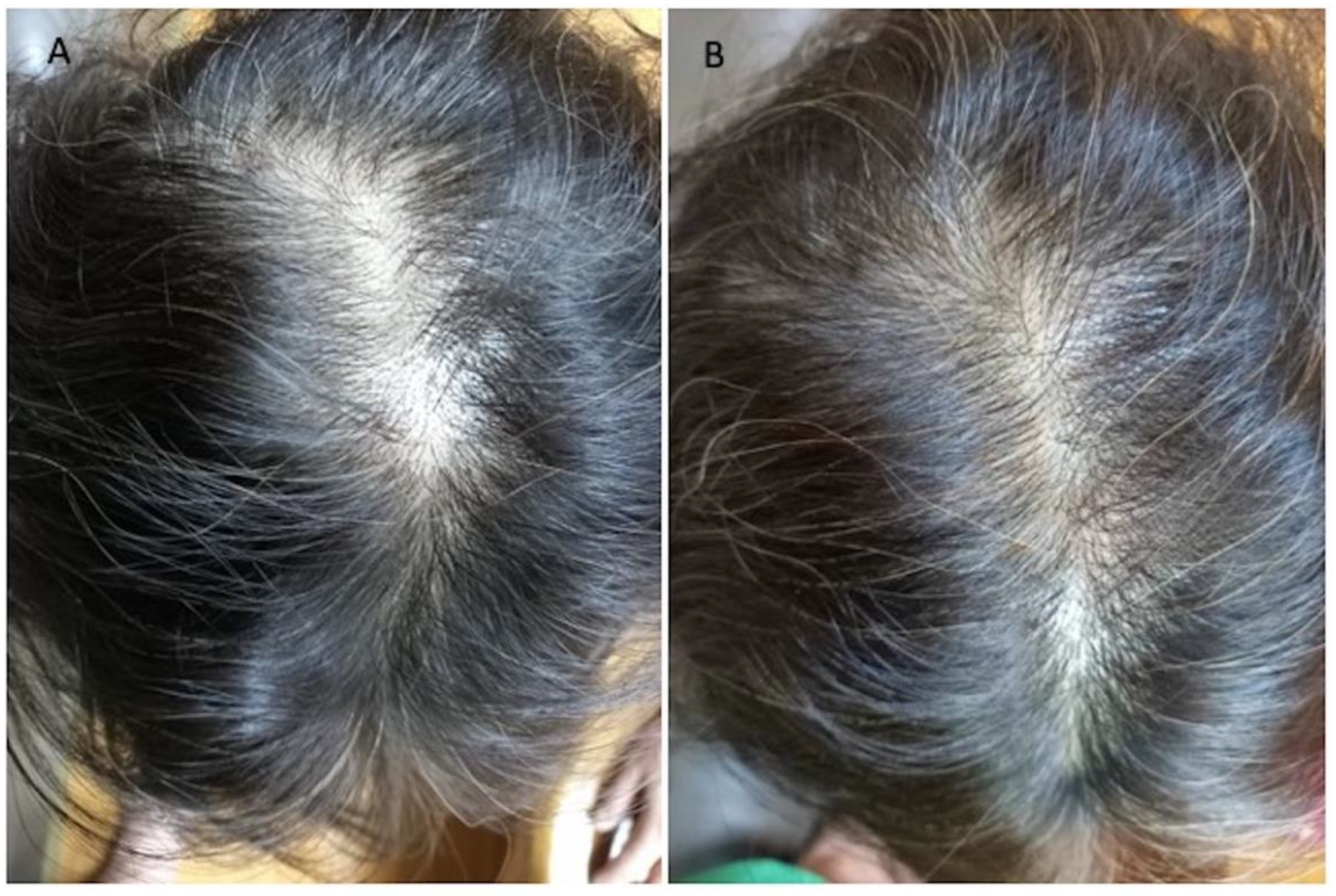 Applsci 12 00217 g002