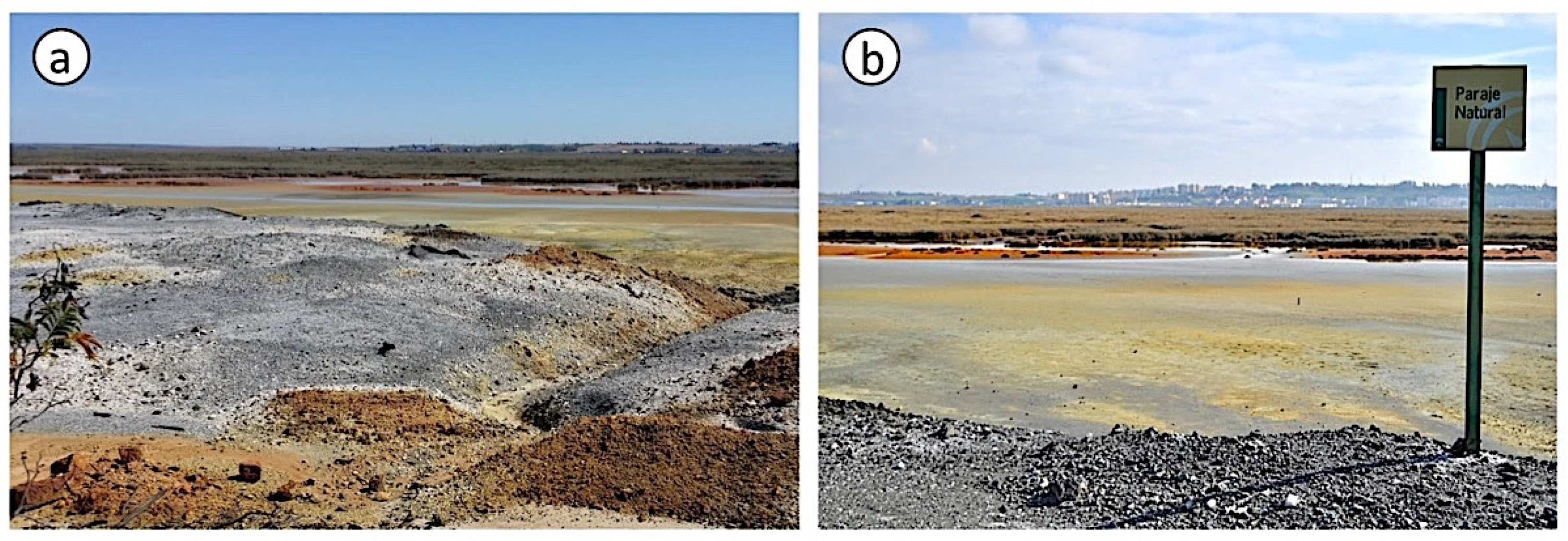 Applsci 12 00249 g001