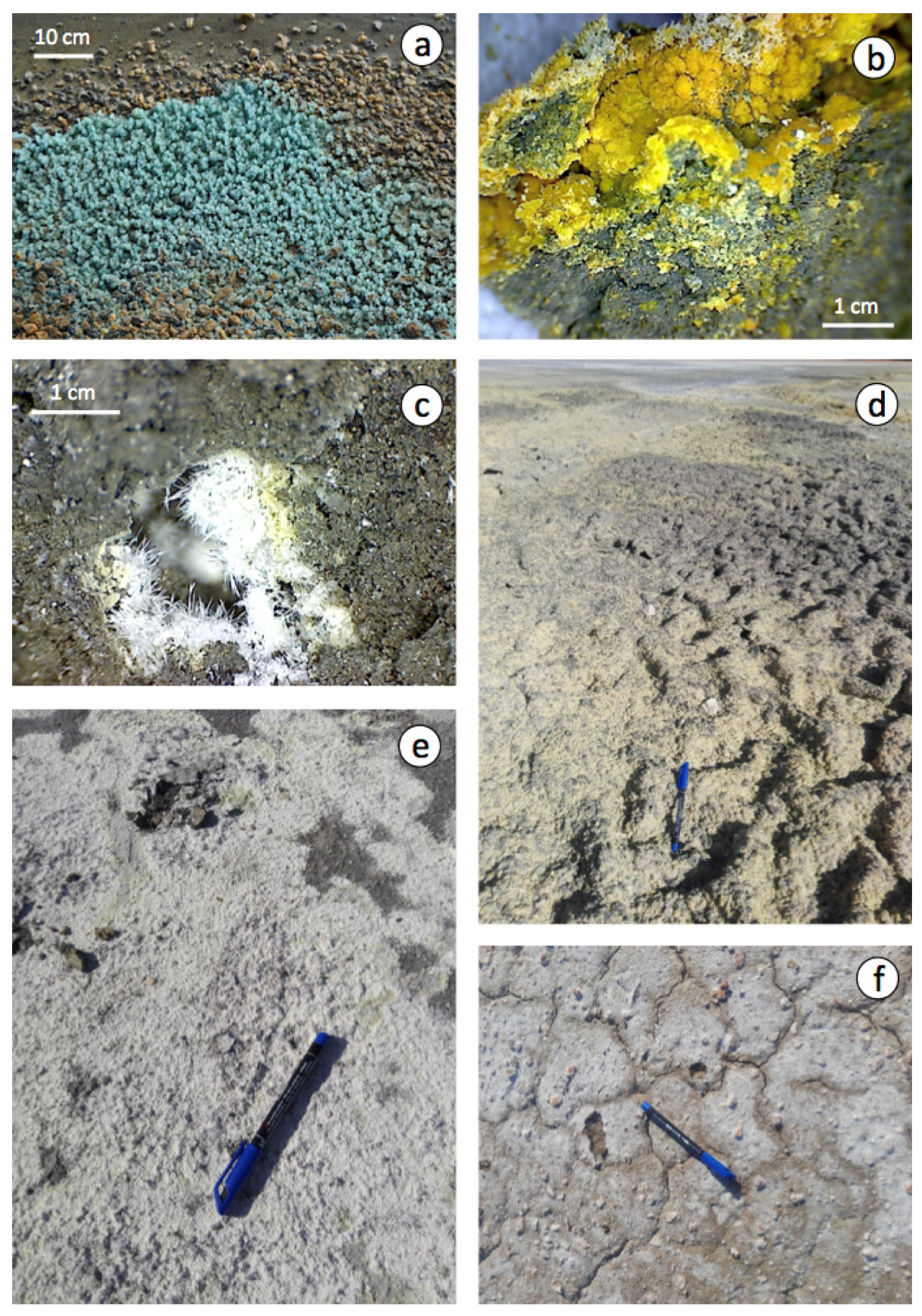 Applsci 12 00249 g006