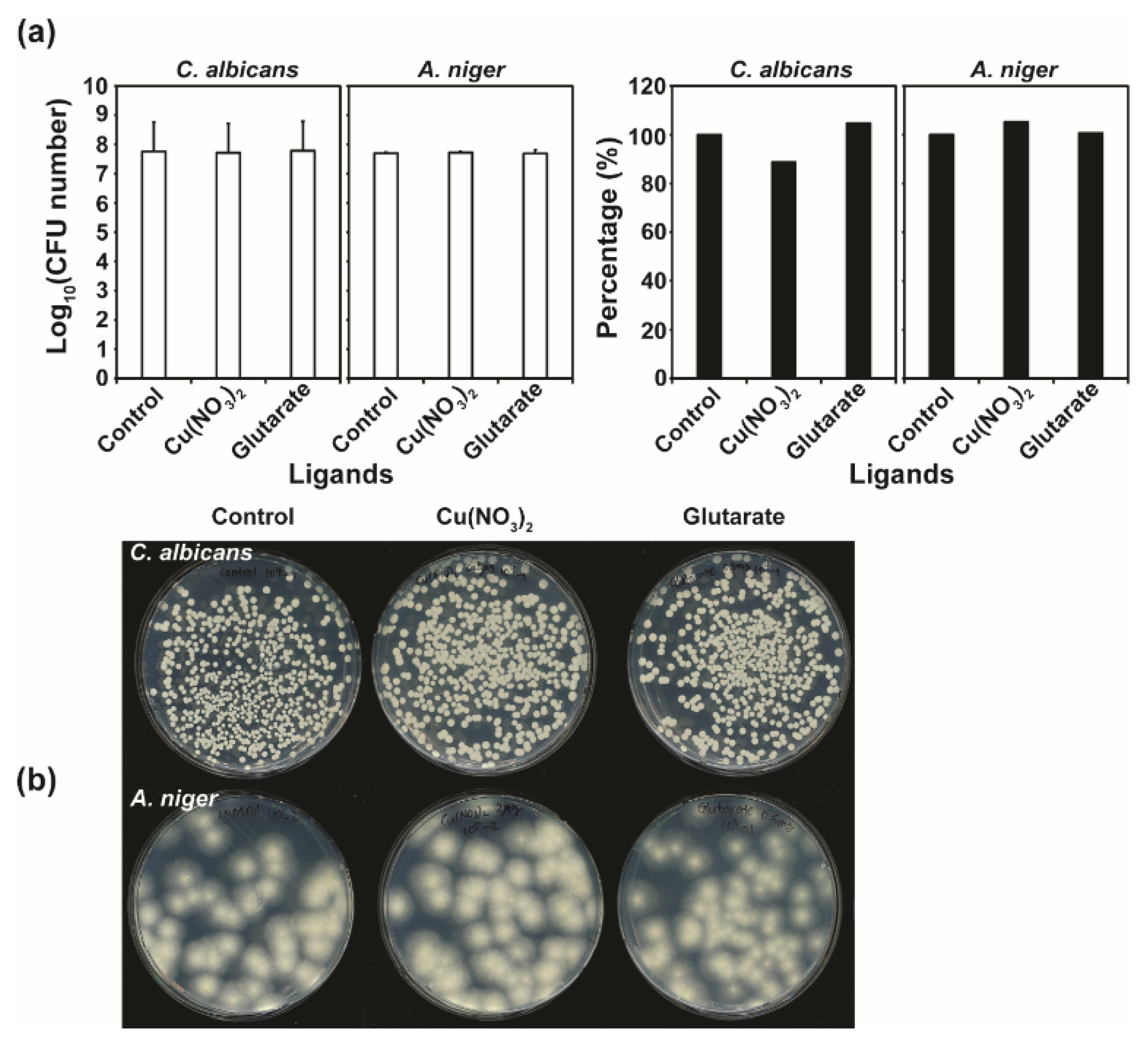 Applsci 12 00260 g005