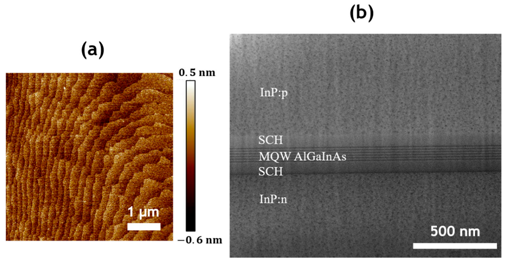 Applsci 12 00263 g003