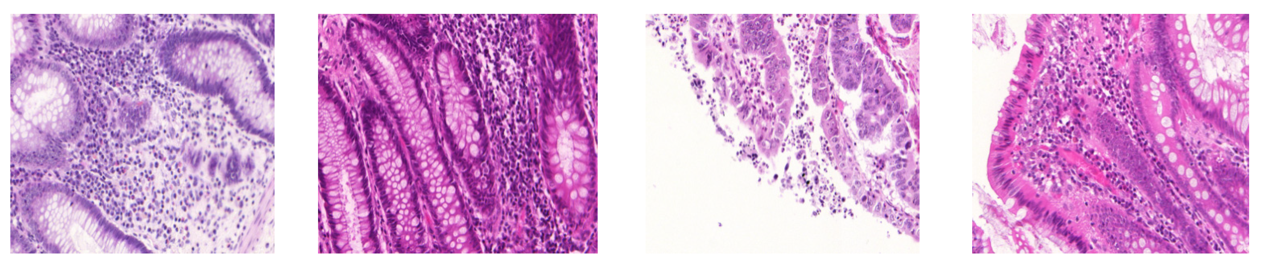 Applsci 12 00288 g001