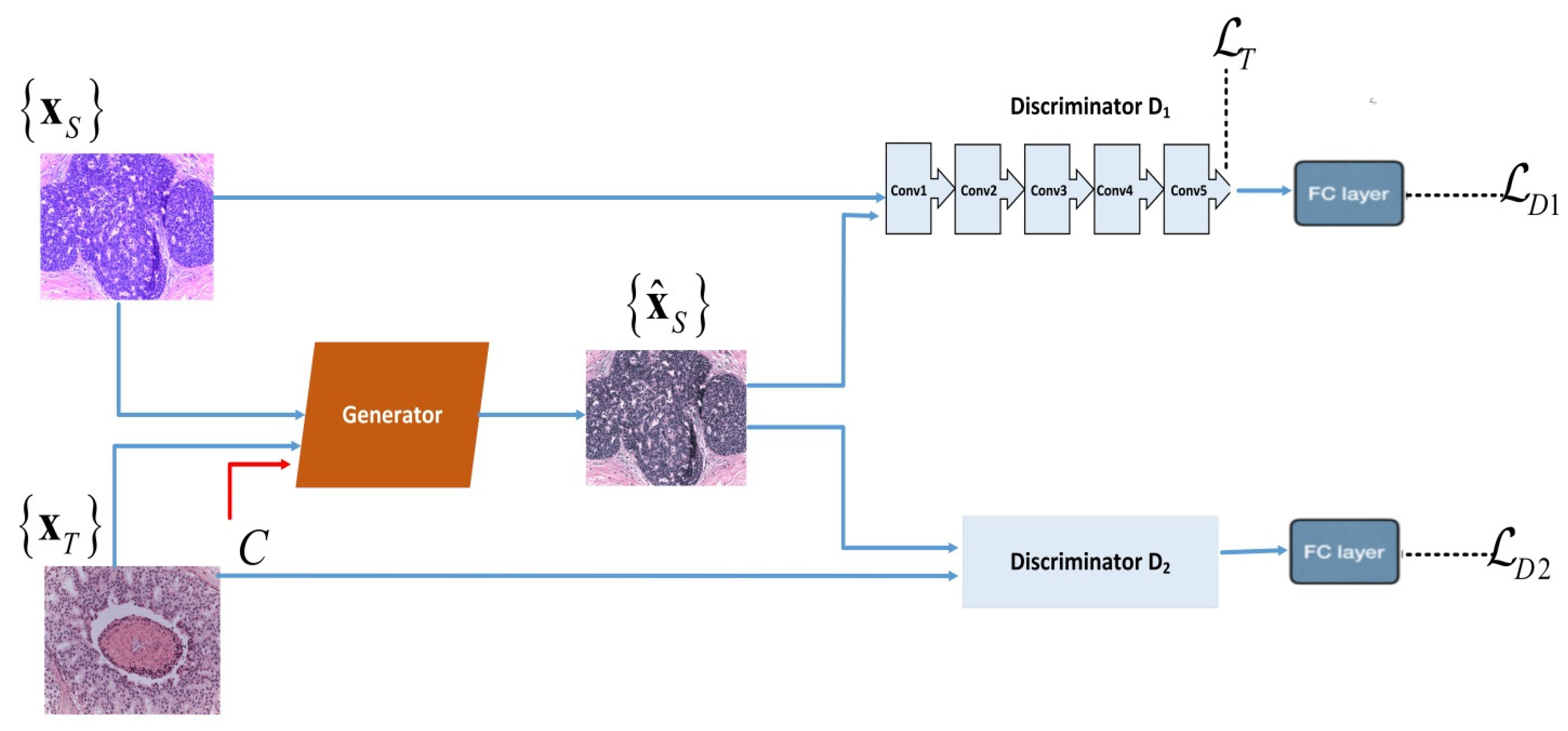 Applsci 12 00288 g002