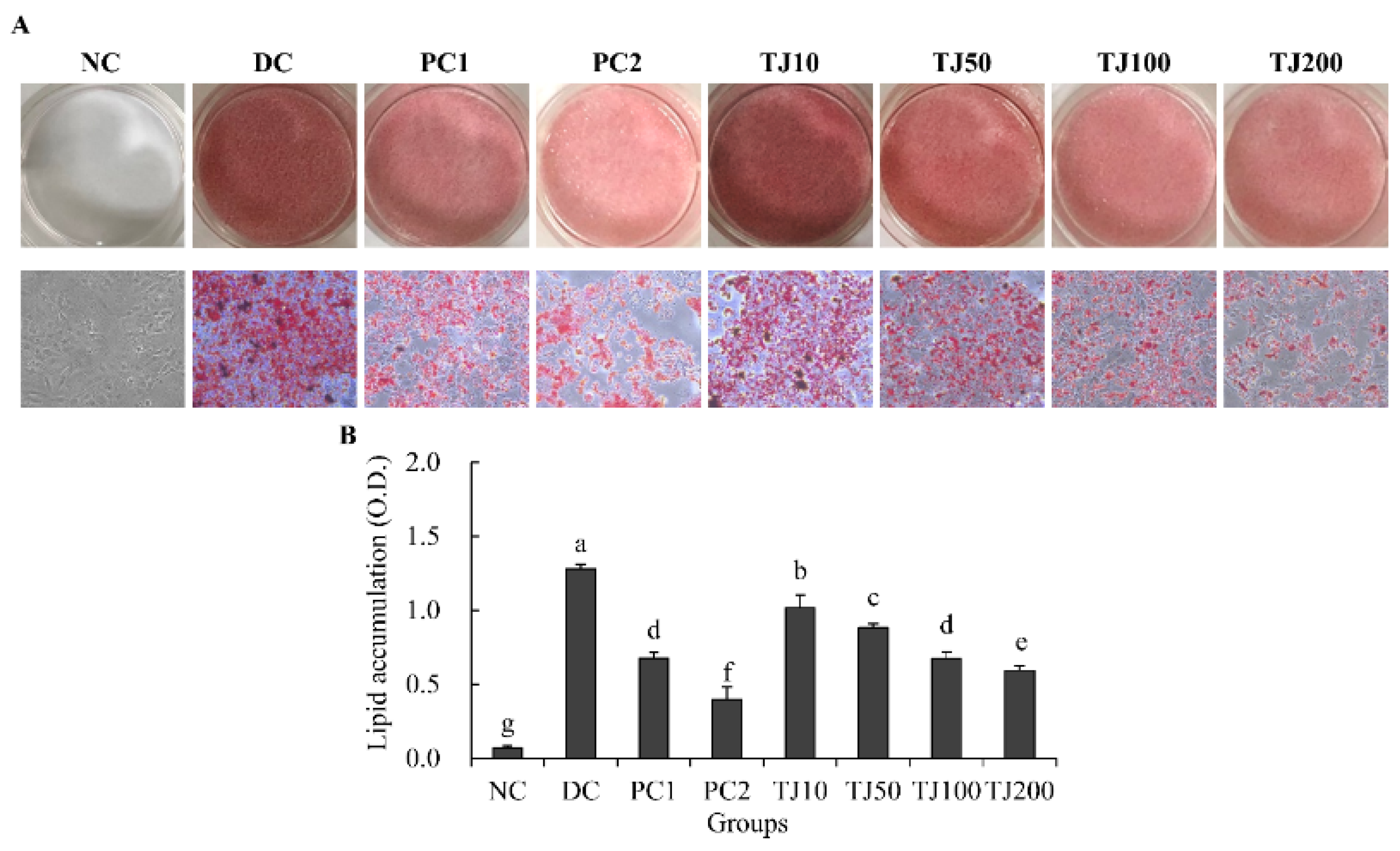 Applsci 12 00290 g003
