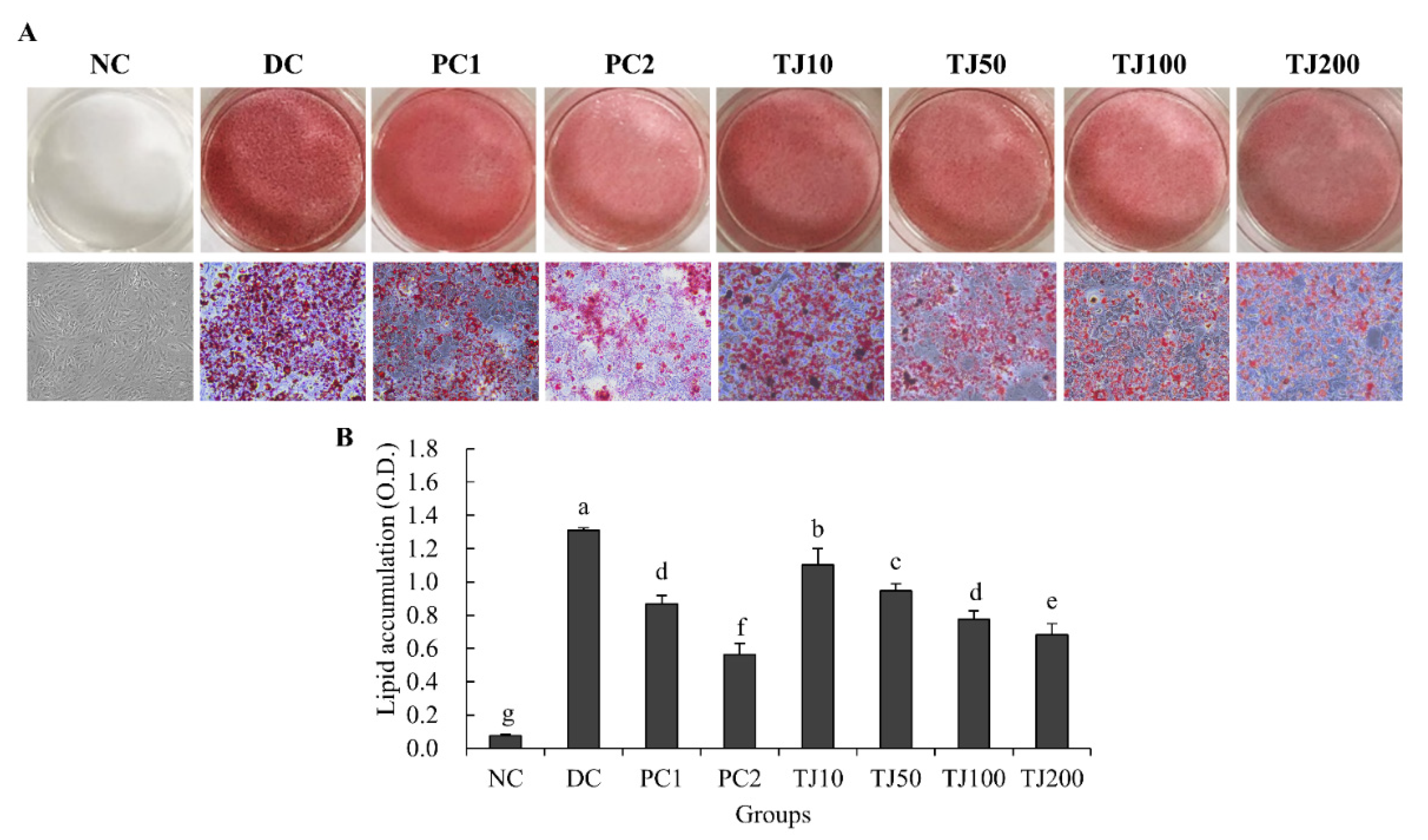 Applsci 12 00290 g007