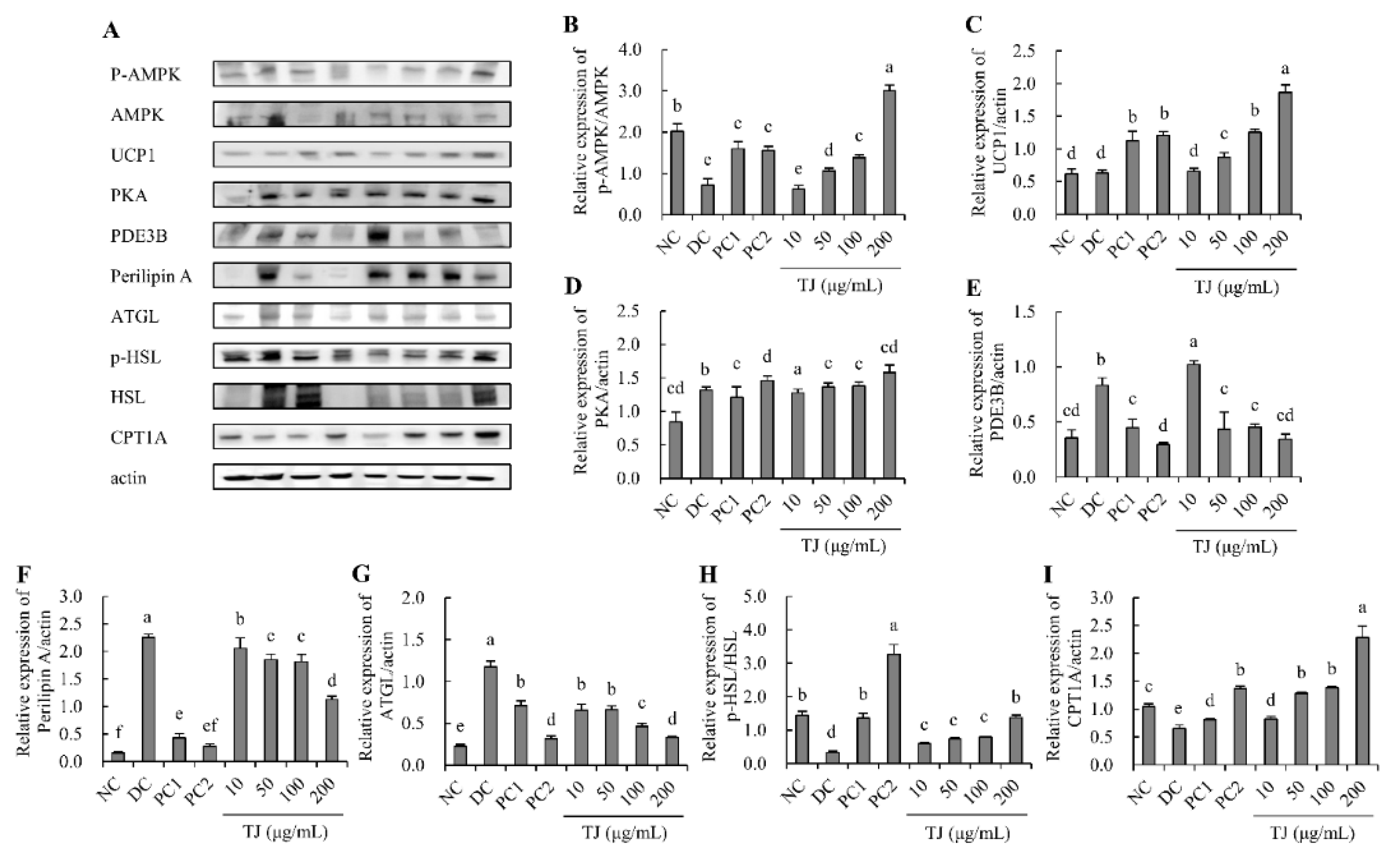 Applsci 12 00290 g008