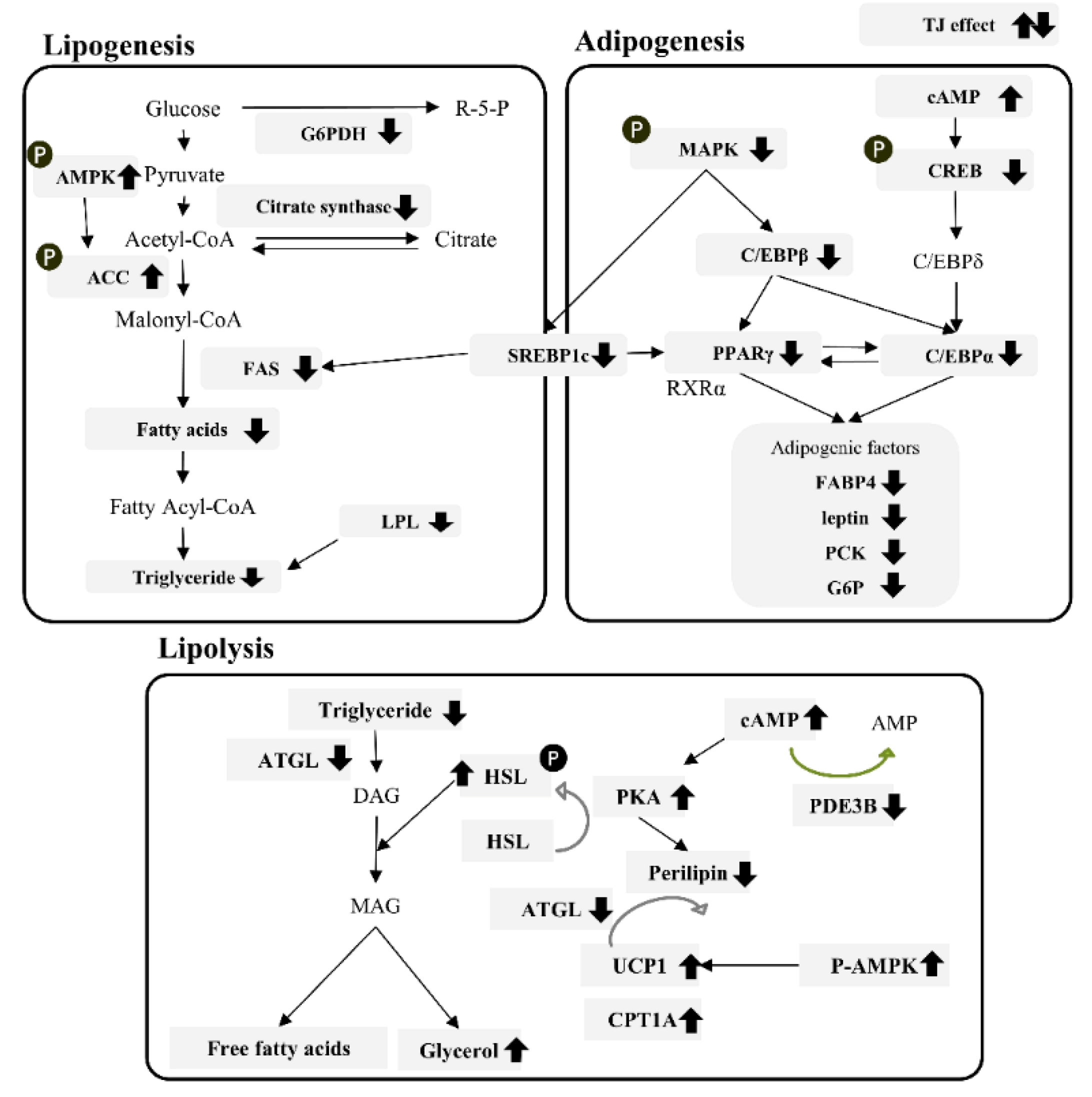 Applsci 12 00290 g0a1