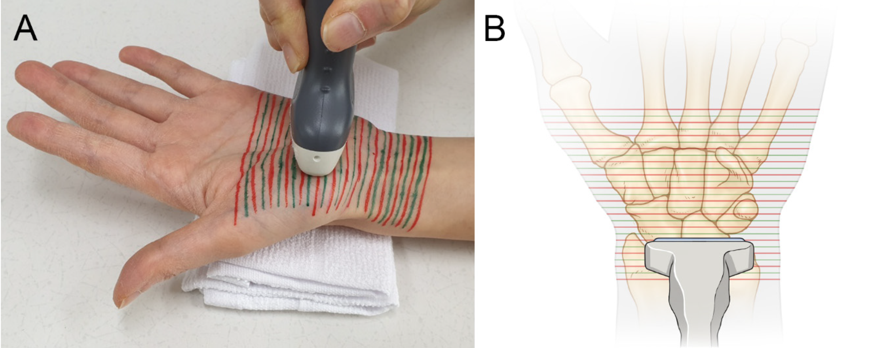 Applsci 12 00299 g001