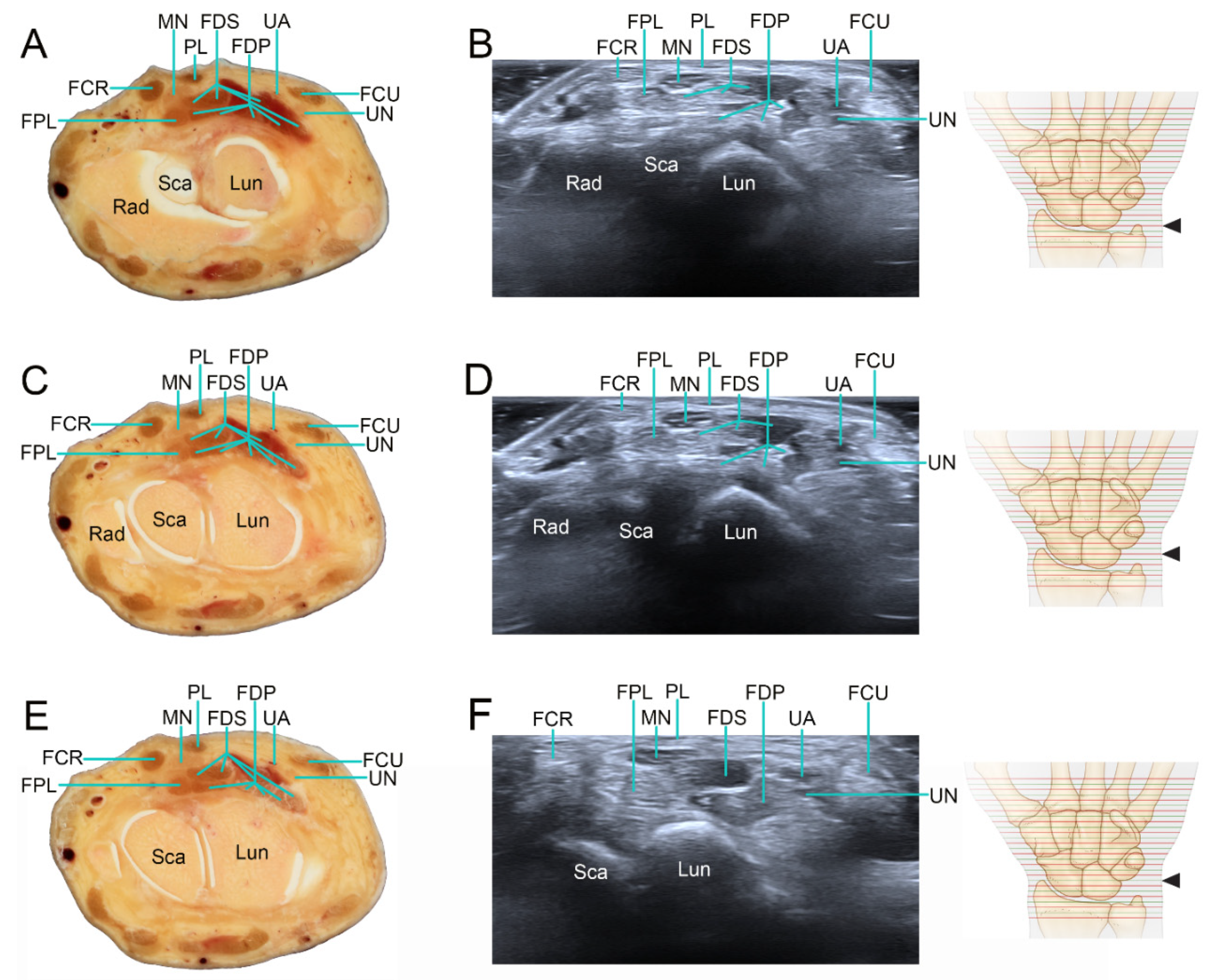 Applsci 12 00299 g003