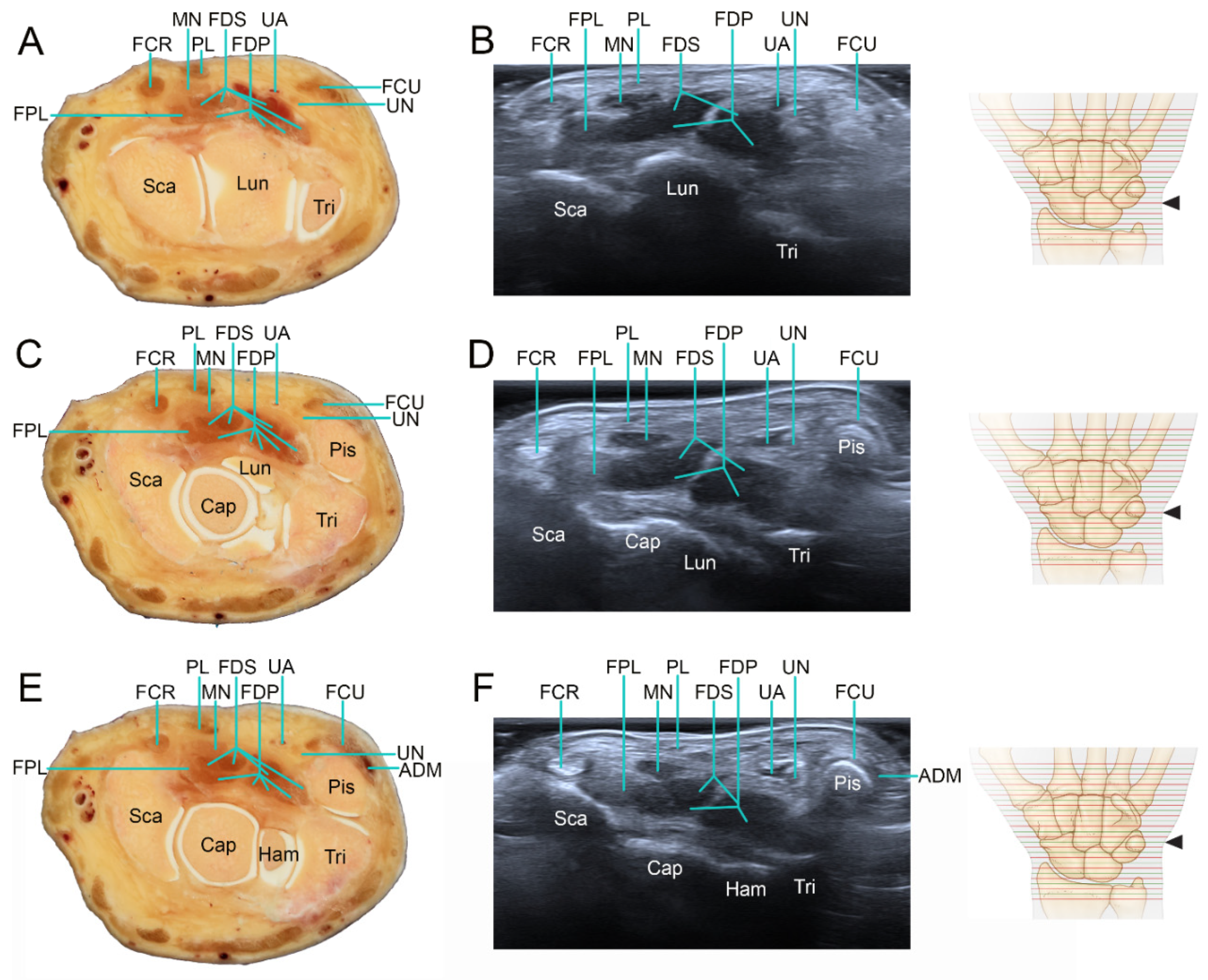 Applsci 12 00299 g004