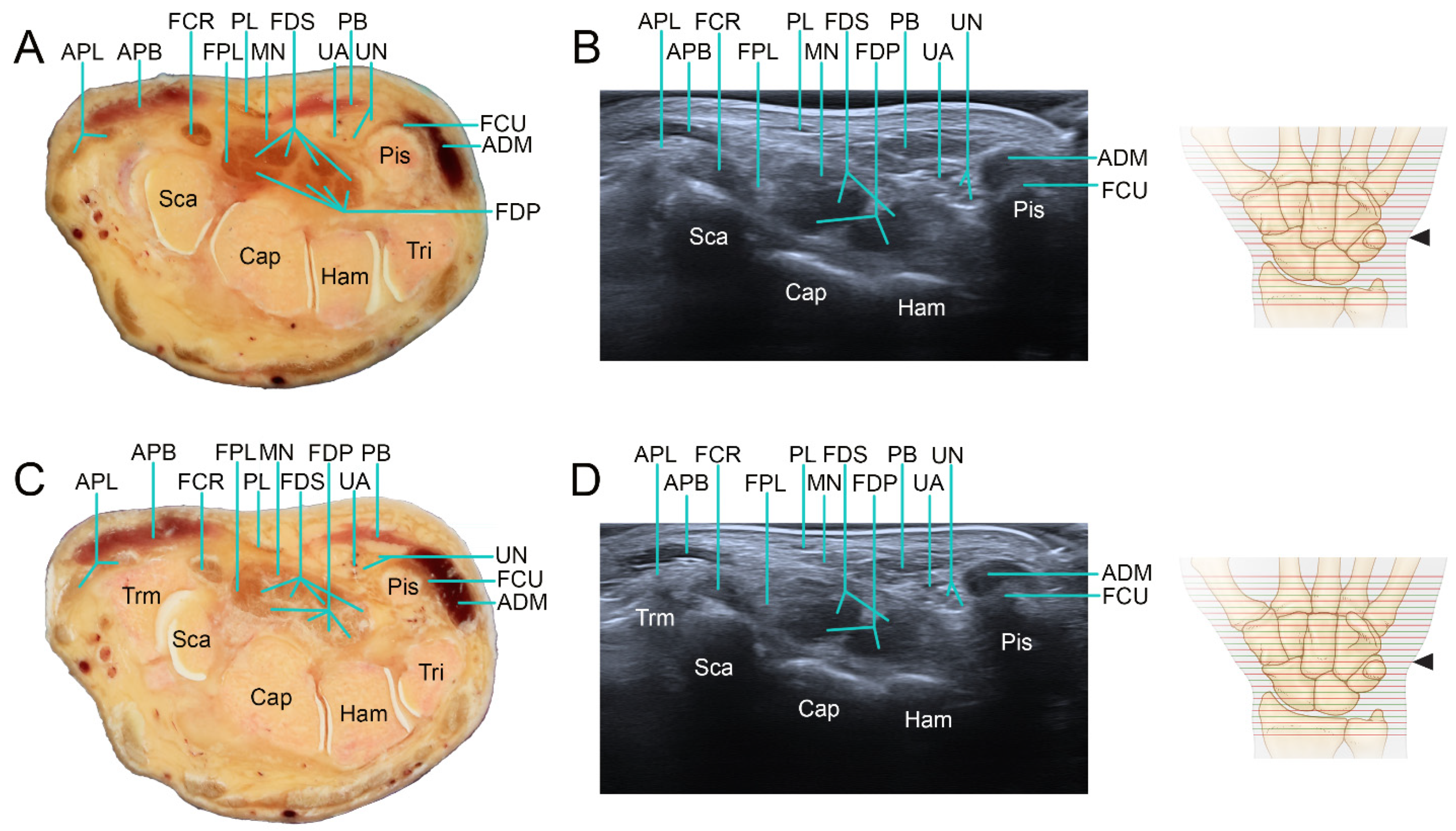 Applsci 12 00299 g005