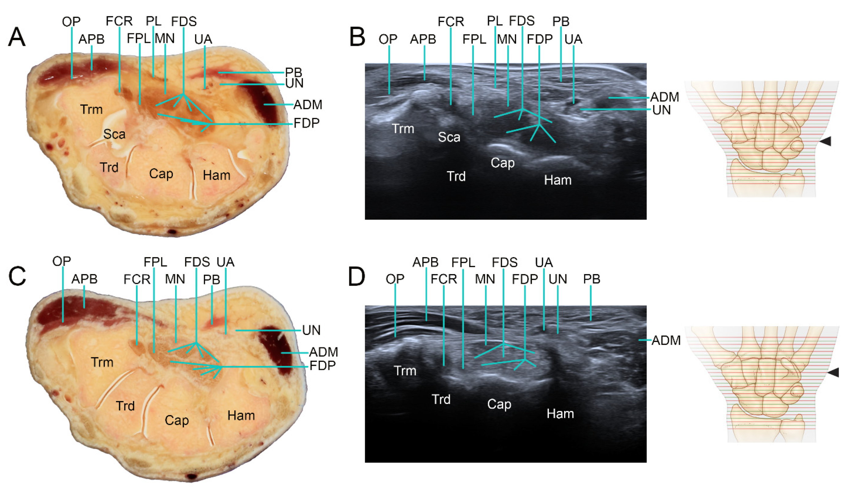 Applsci 12 00299 g006