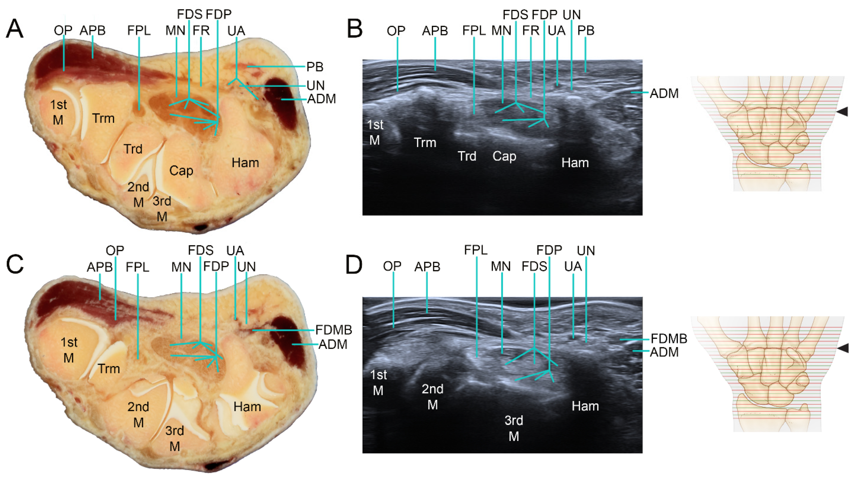 Applsci 12 00299 g007