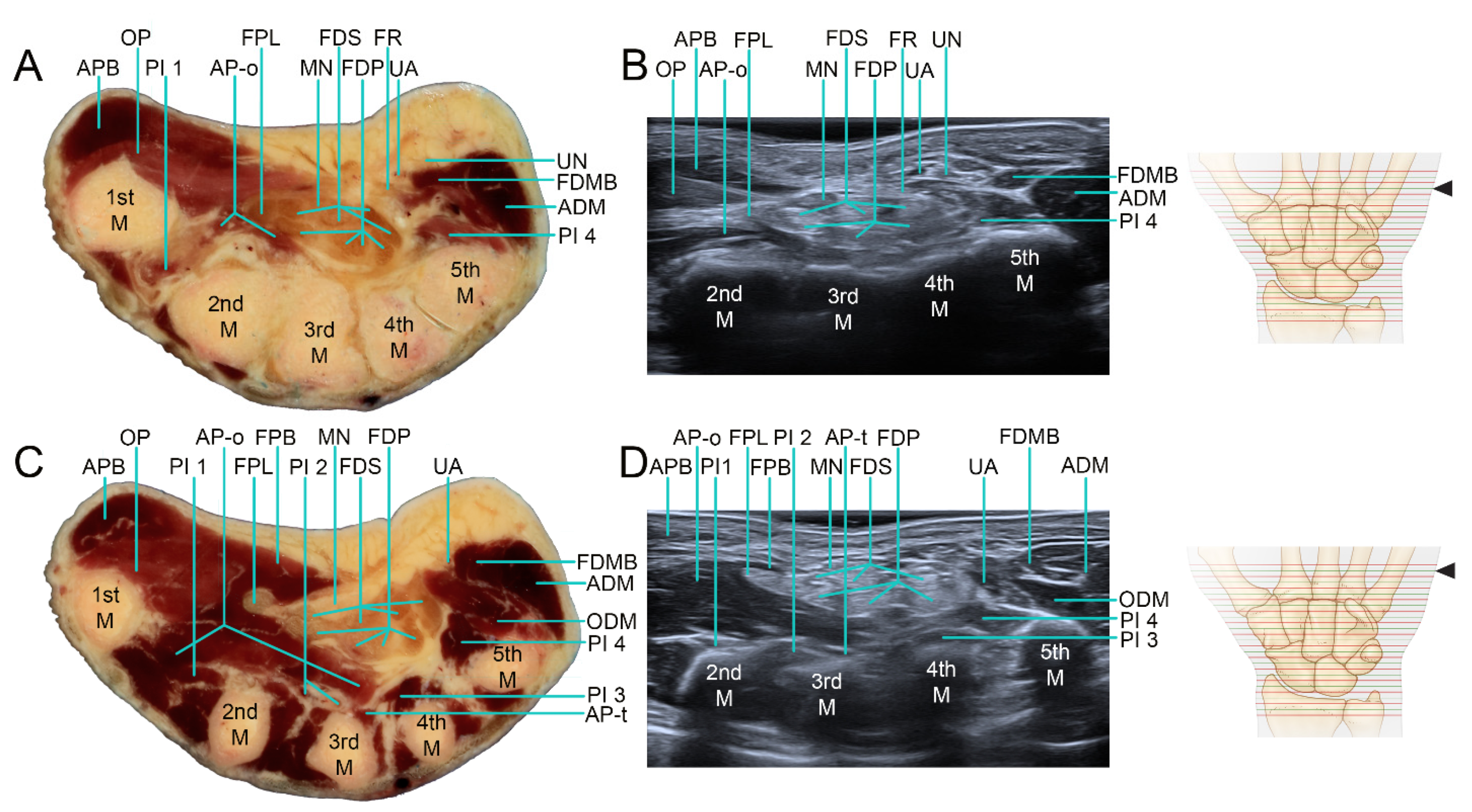 Applsci 12 00299 g009