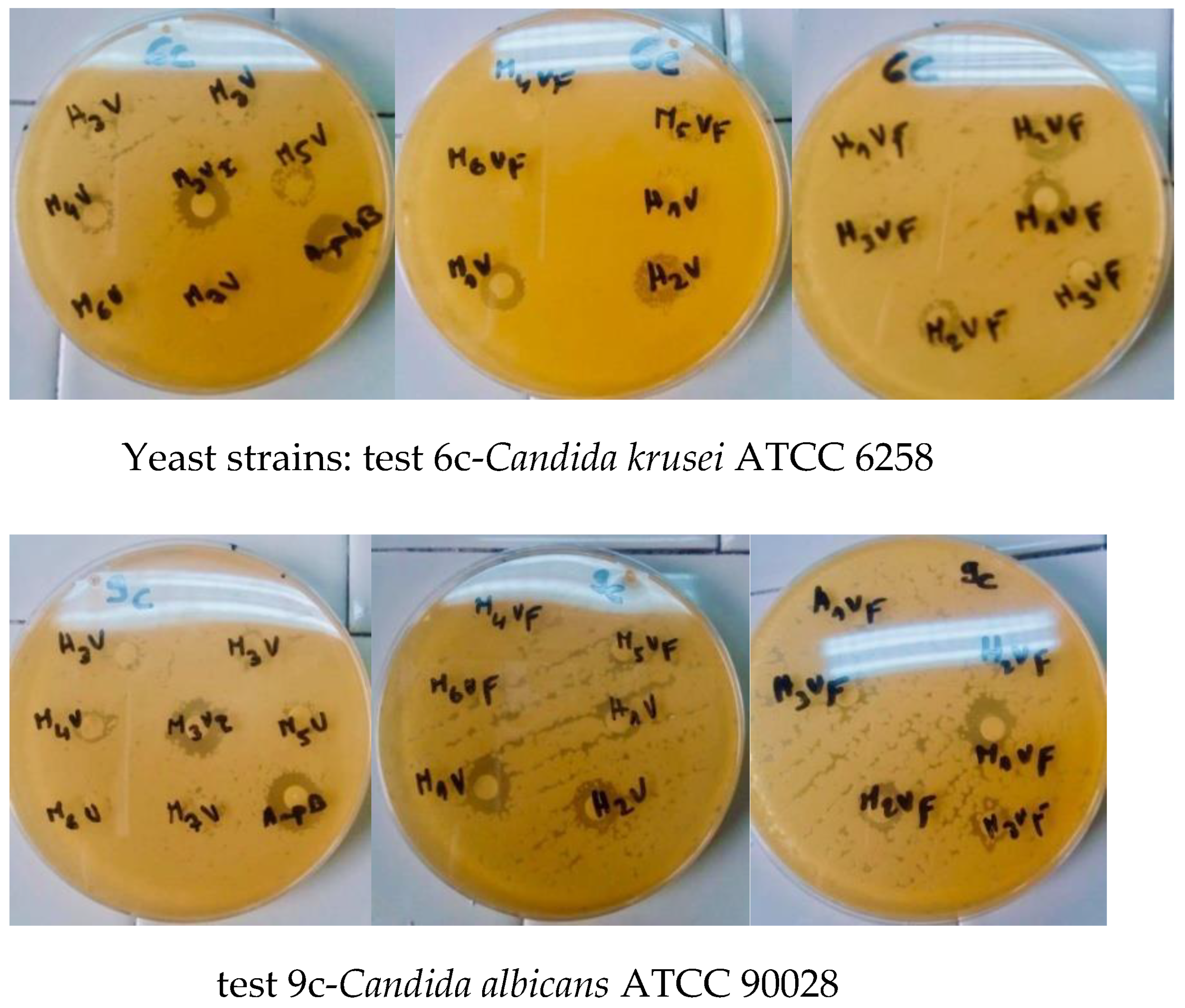 Applsci 12 00360 g006