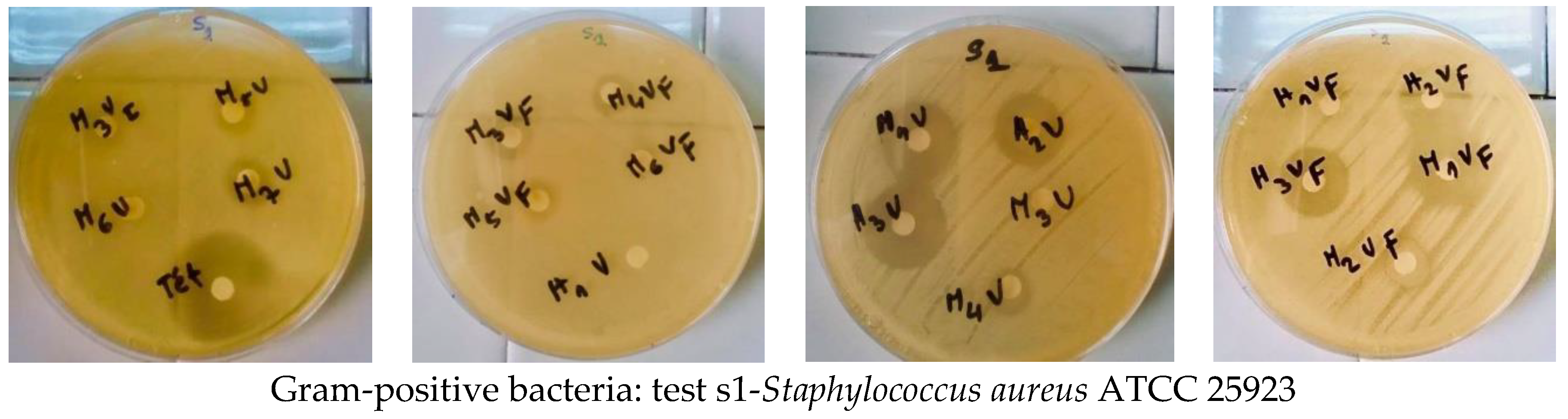 Applsci 12 00360 g007