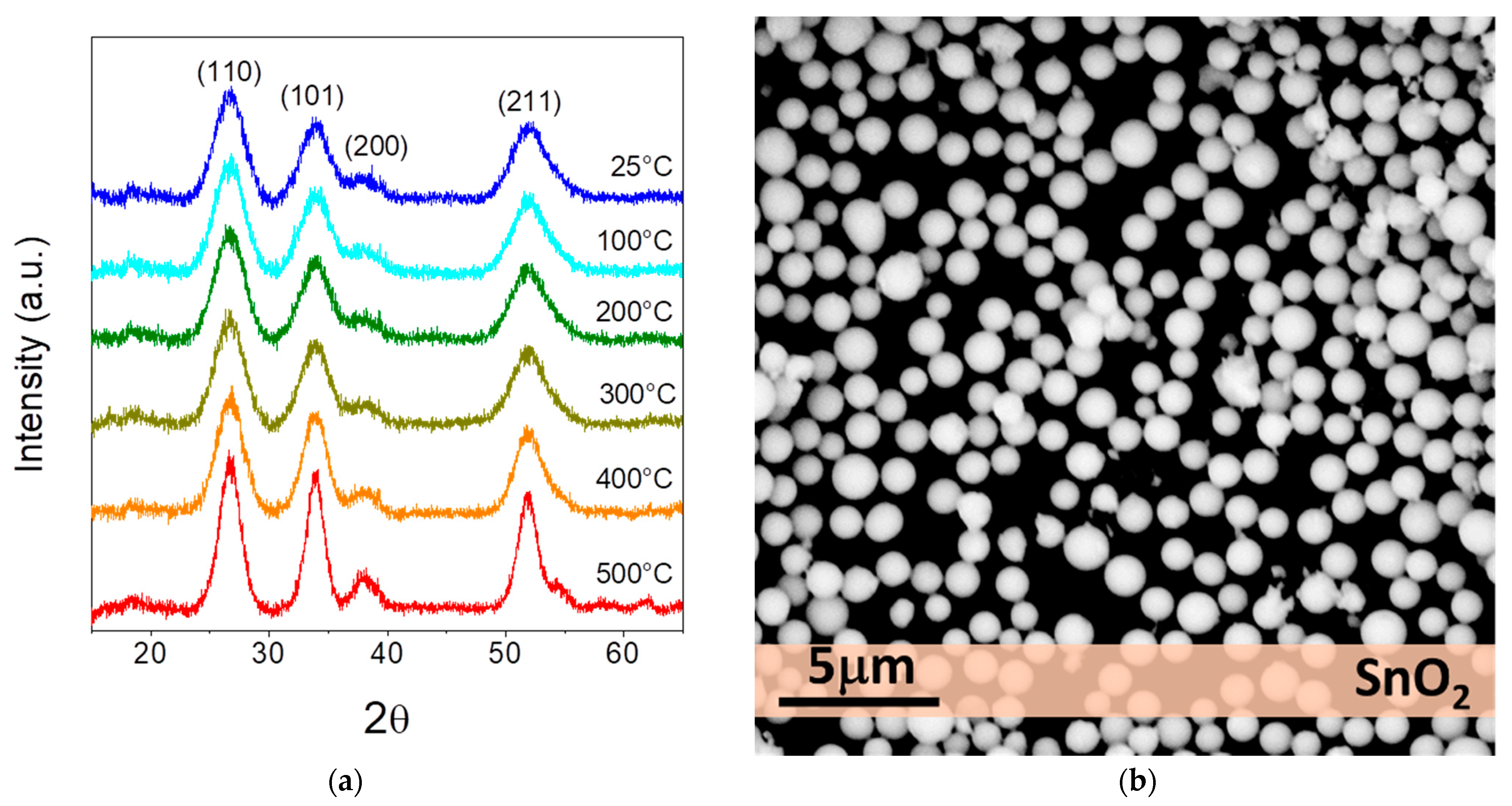 Applsci 12 00367 g002