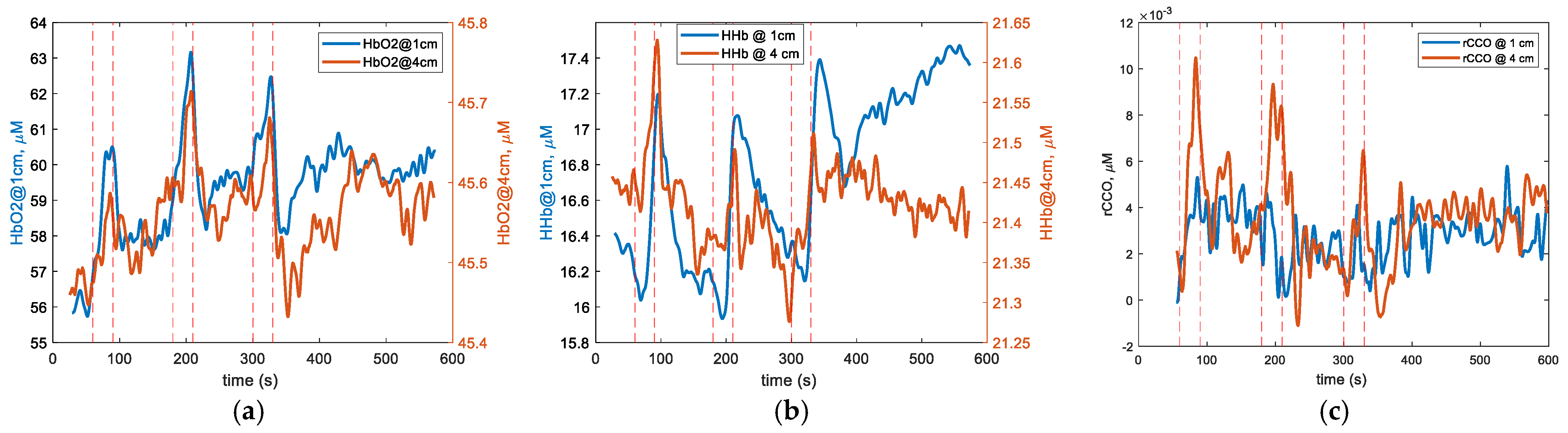 Applsci 12 00371 g005 Applsci 12 00371 g005