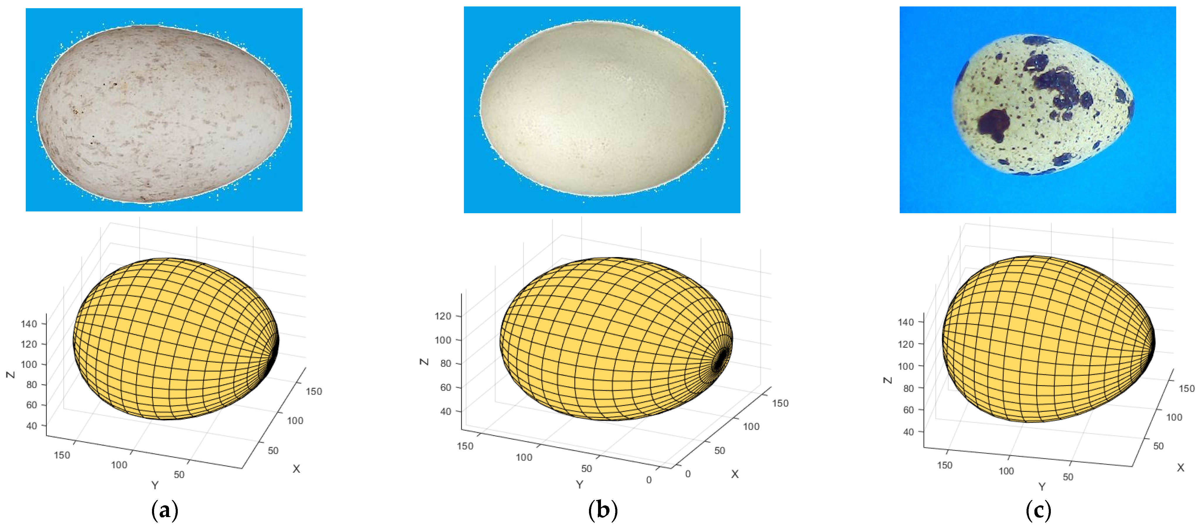 Applsci 12 00373 g004