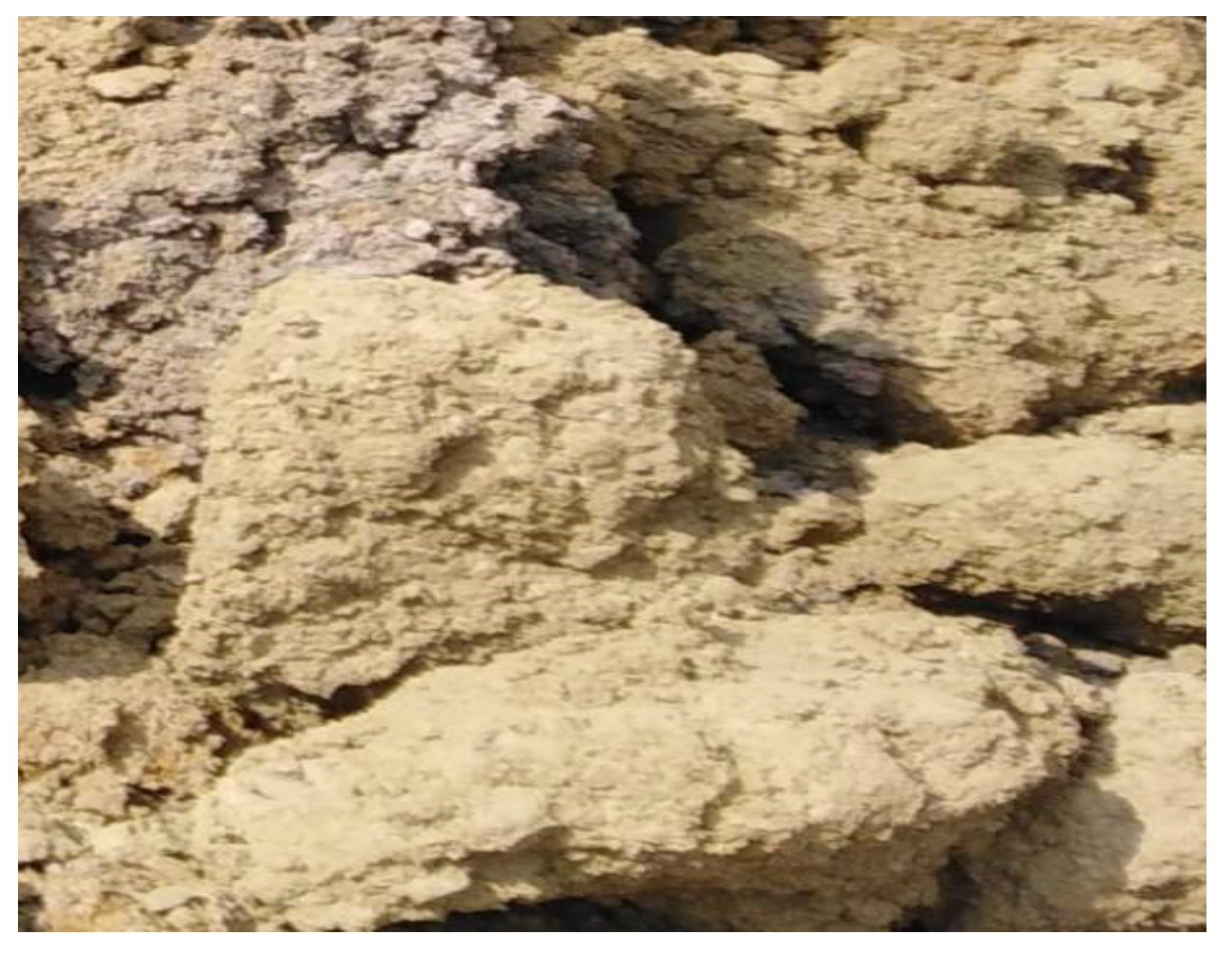 Applsci 12 00387 g001