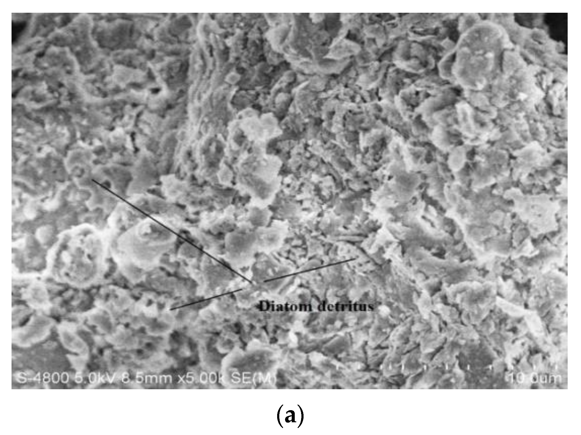 Applsci 12 00387 g004a