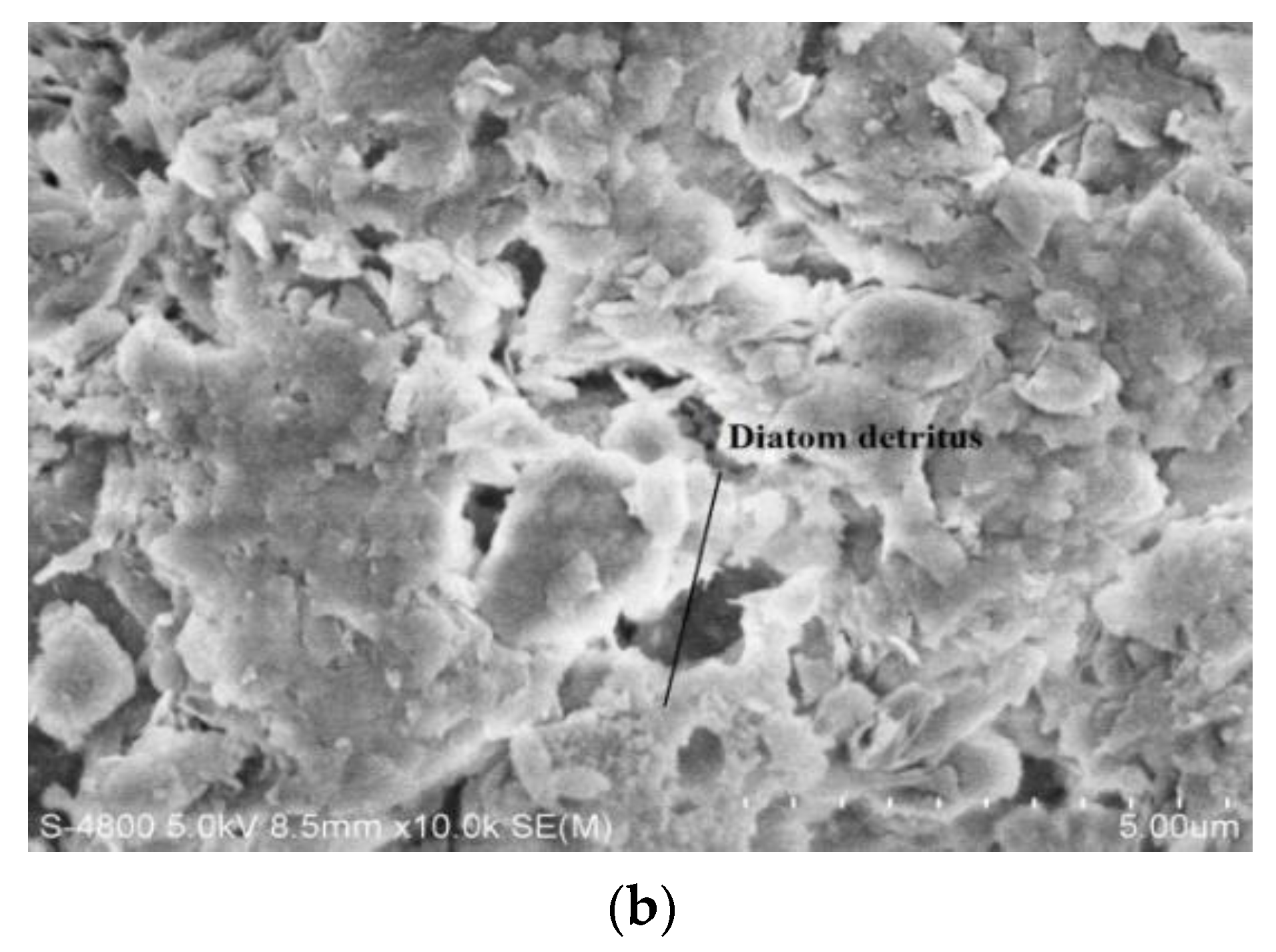 Applsci 12 00387 g004b