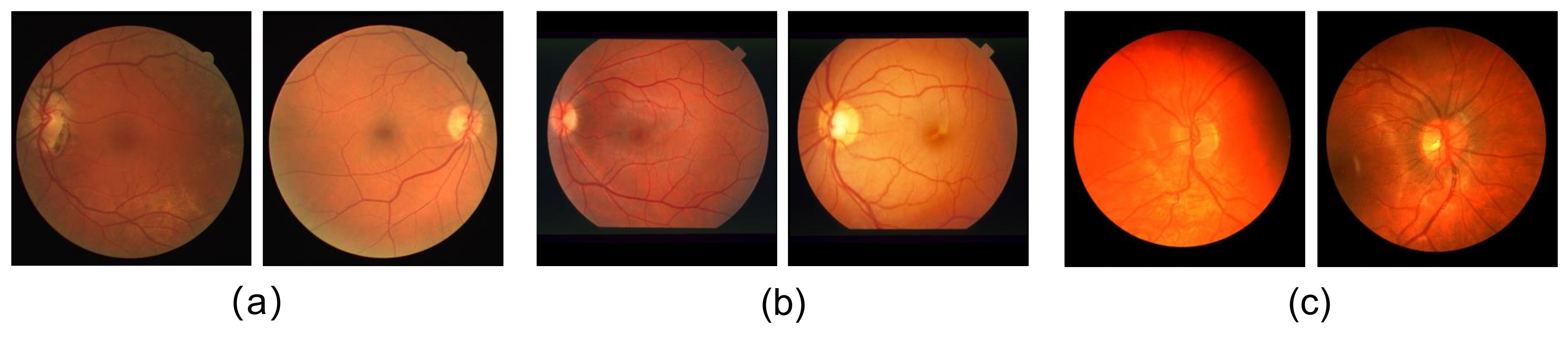 Applsci 12 00403 g001