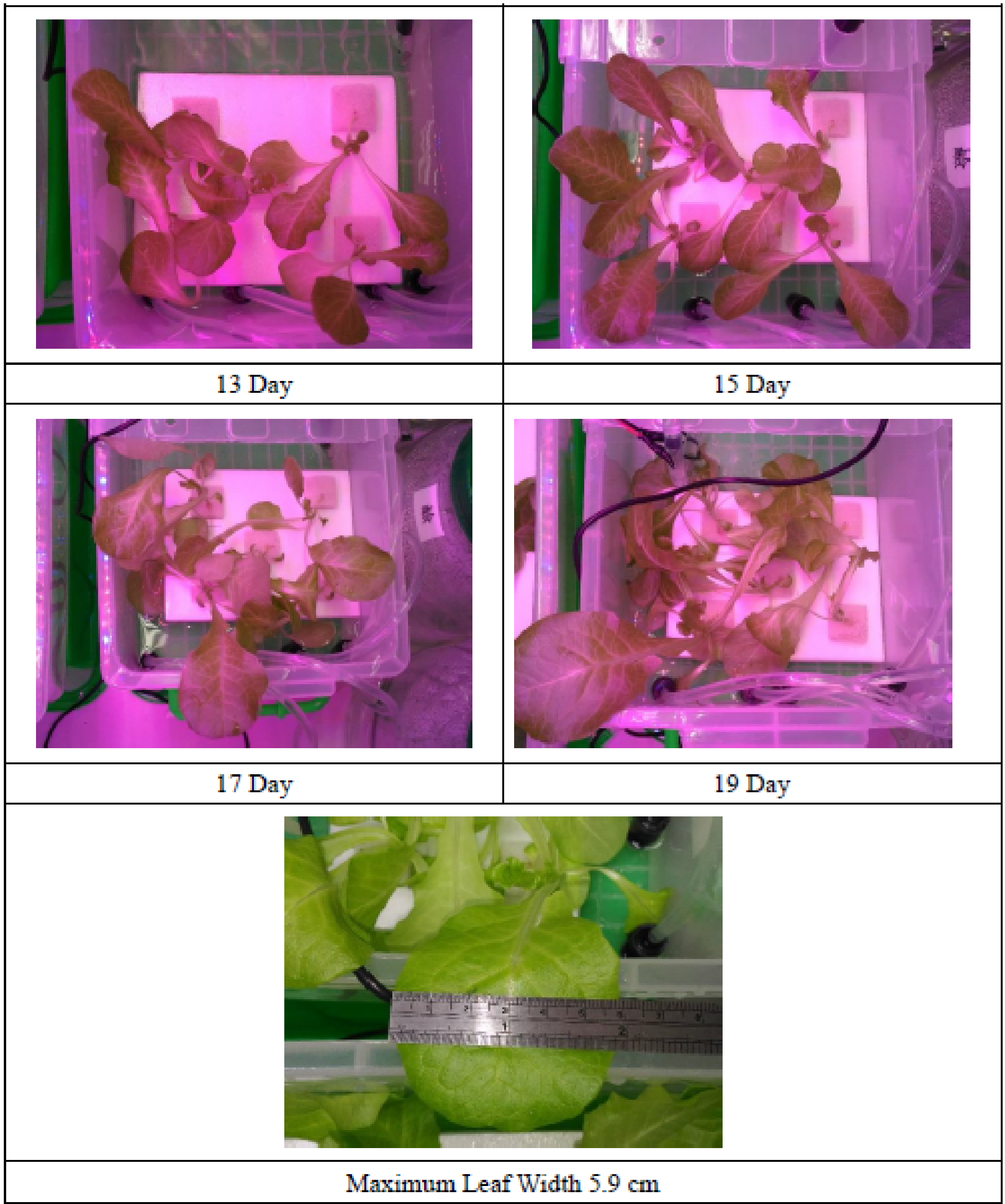 Applsci 12 00405 g008