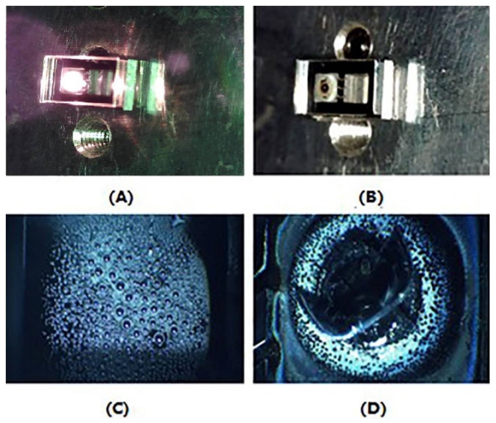 Applsci 12 00436 g004