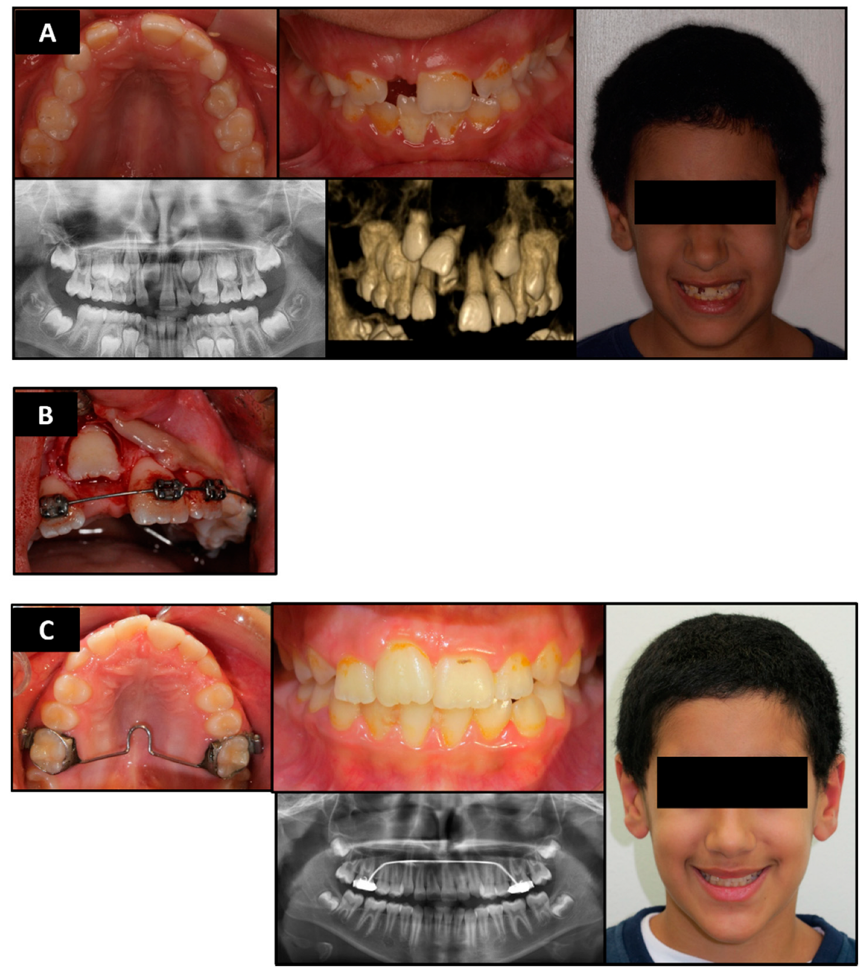Applsci 12 00449 g001