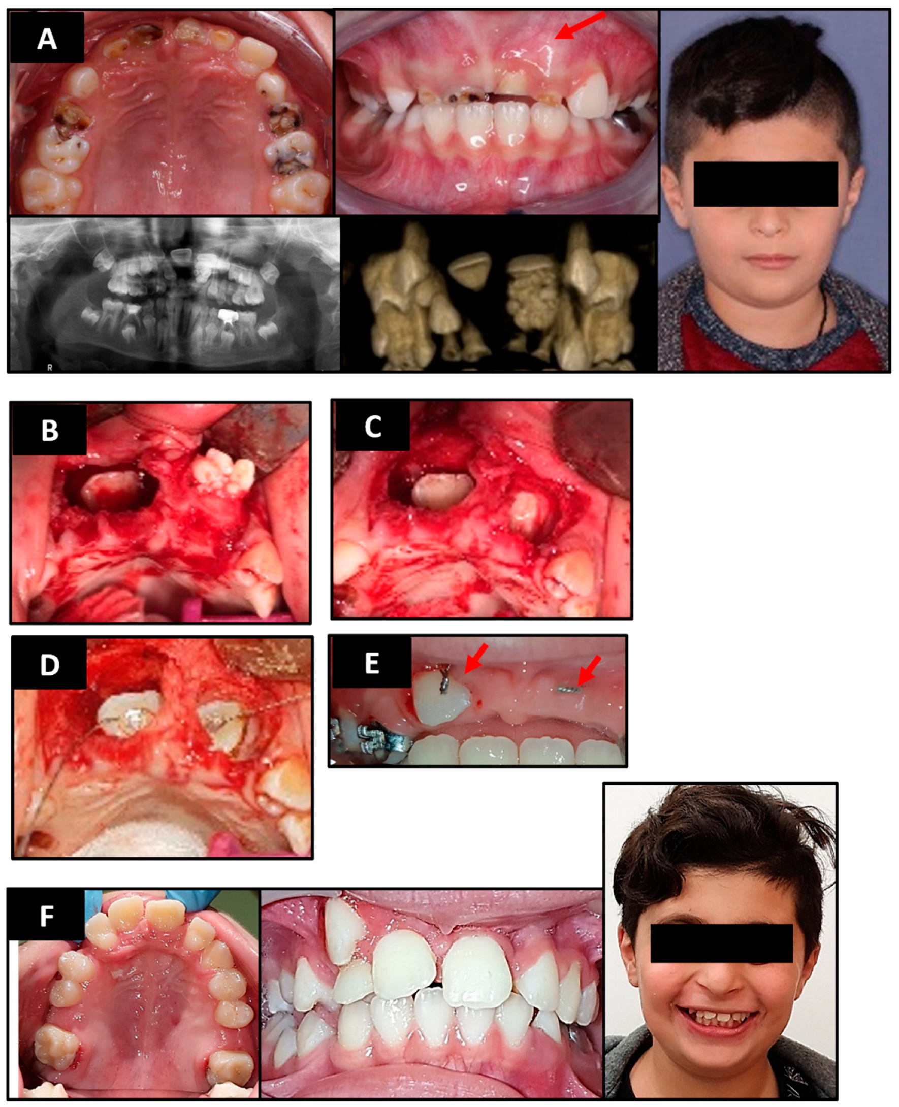 Applsci 12 00449 g003