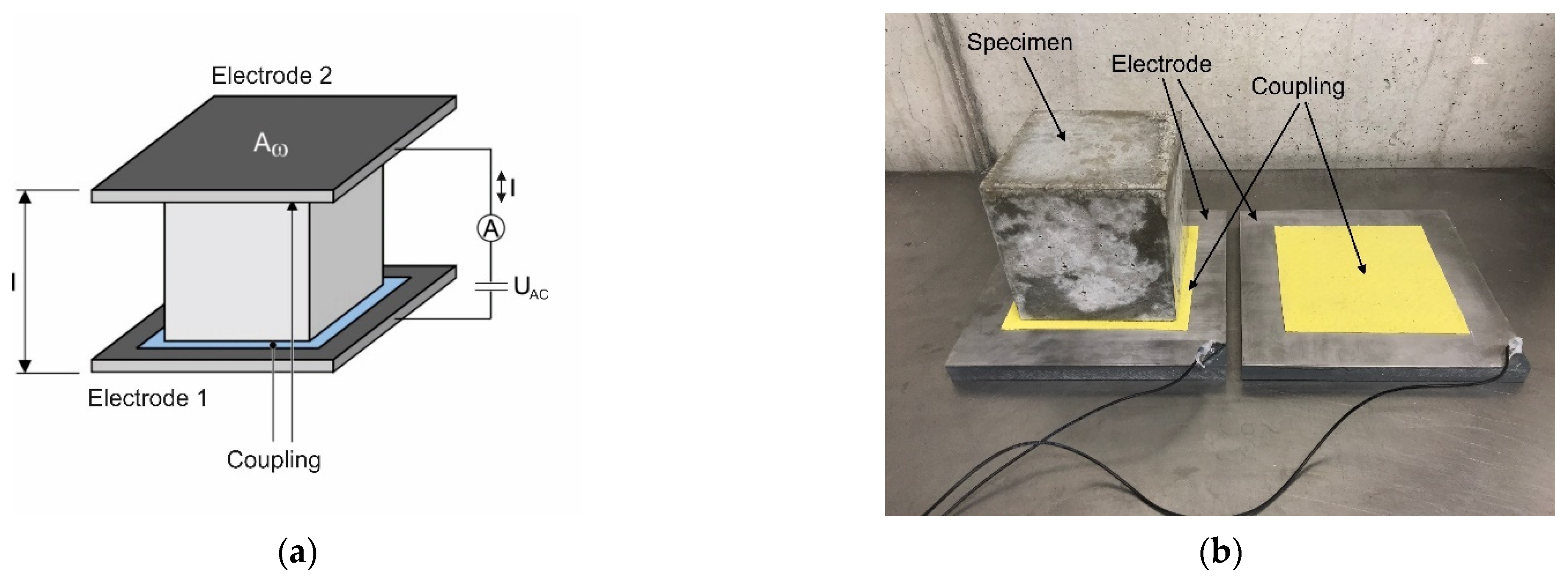 Applsci 12 00454 g002