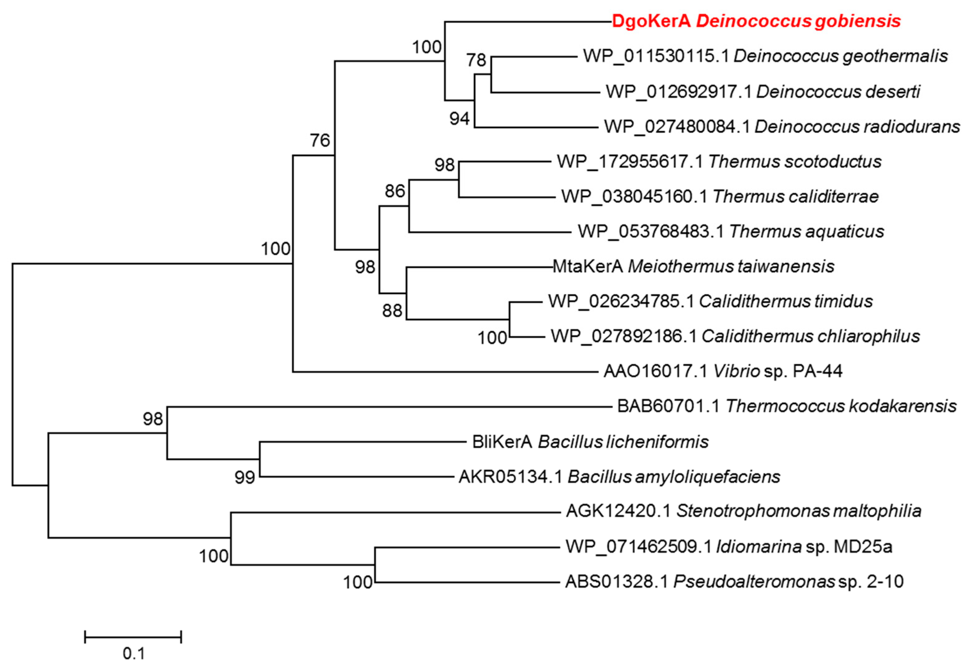 Applsci 12 00464 g001 Applsci 12 00464 g001