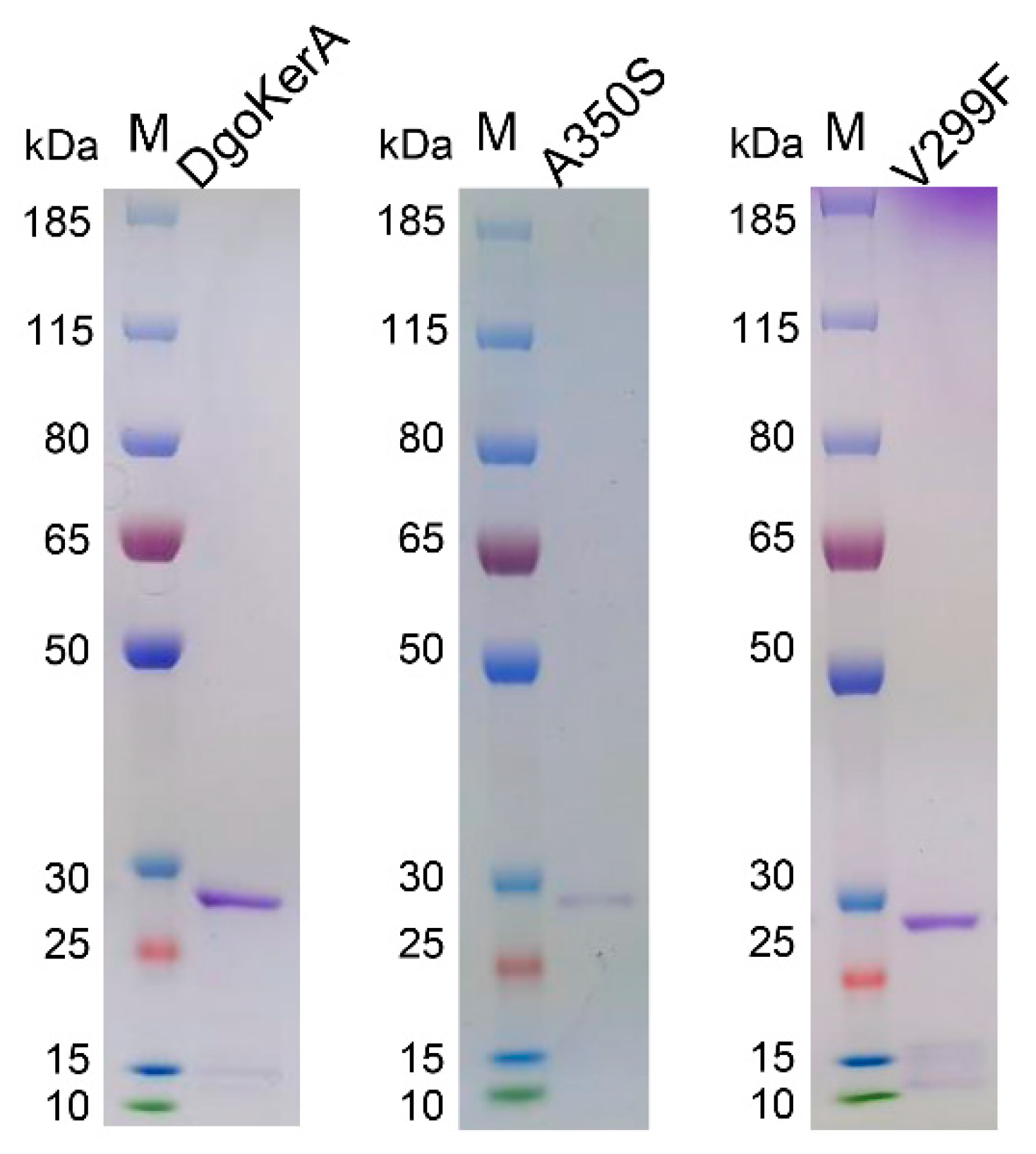 Applsci 12 00464 g003 Applsci 12 00464 g003