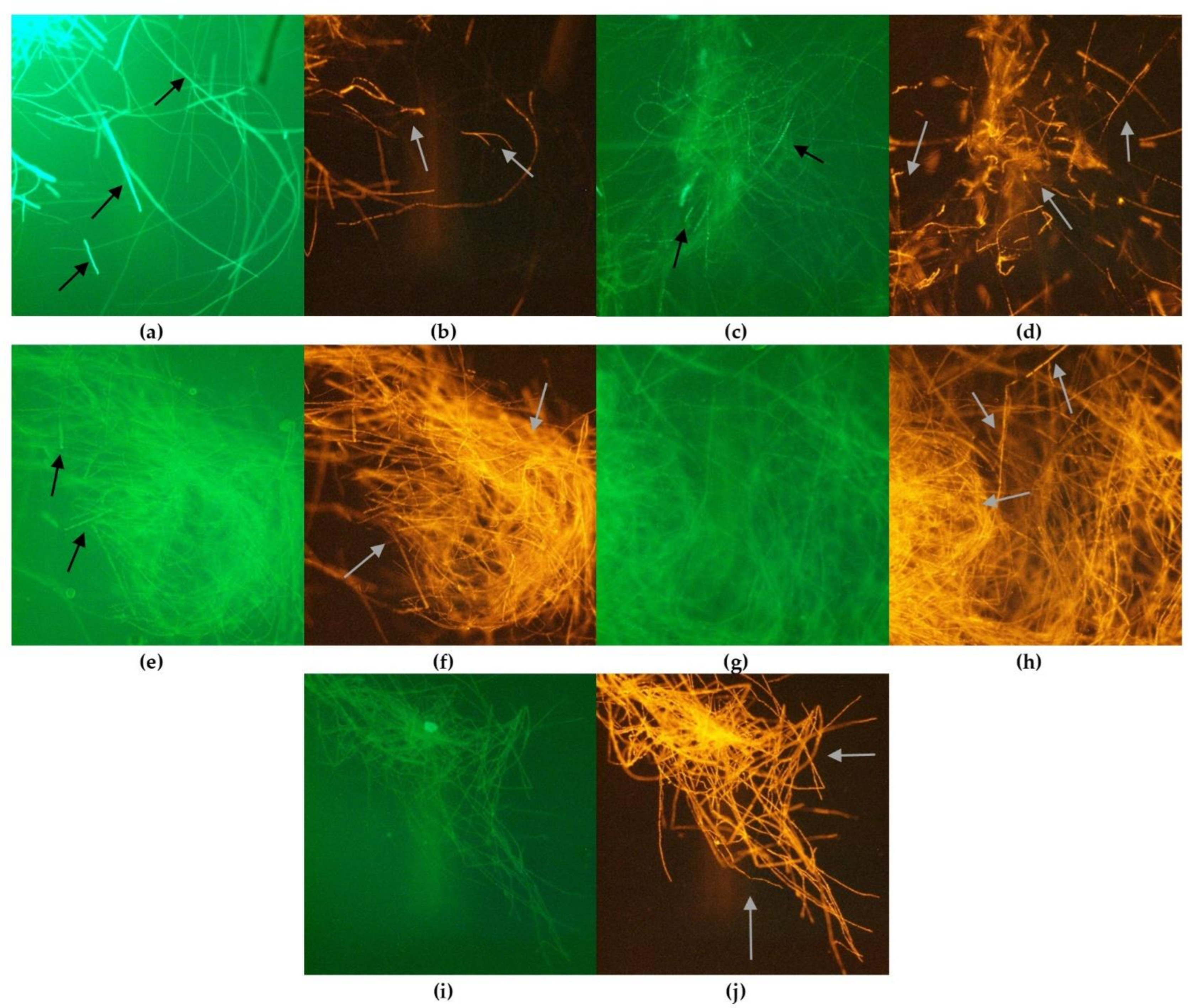 Applsci 12 00473 g003 Applsci 12 00473 g003