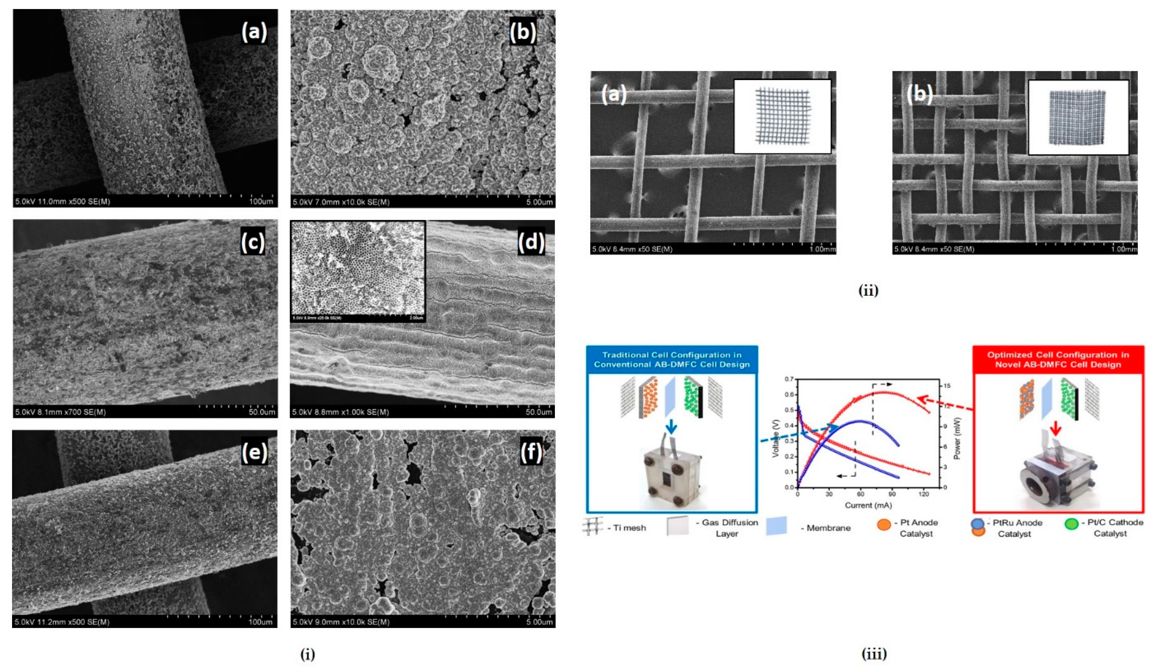 Applsci 12 00501 g005