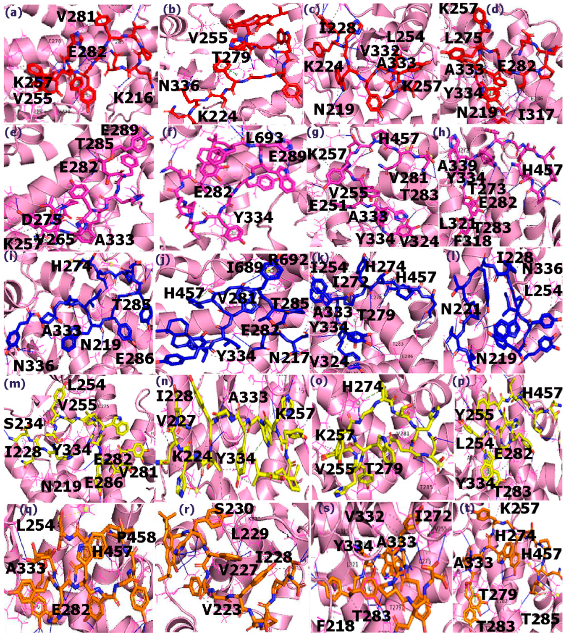 Applsci 12 00515 g005 Applsci 12 00515 g005