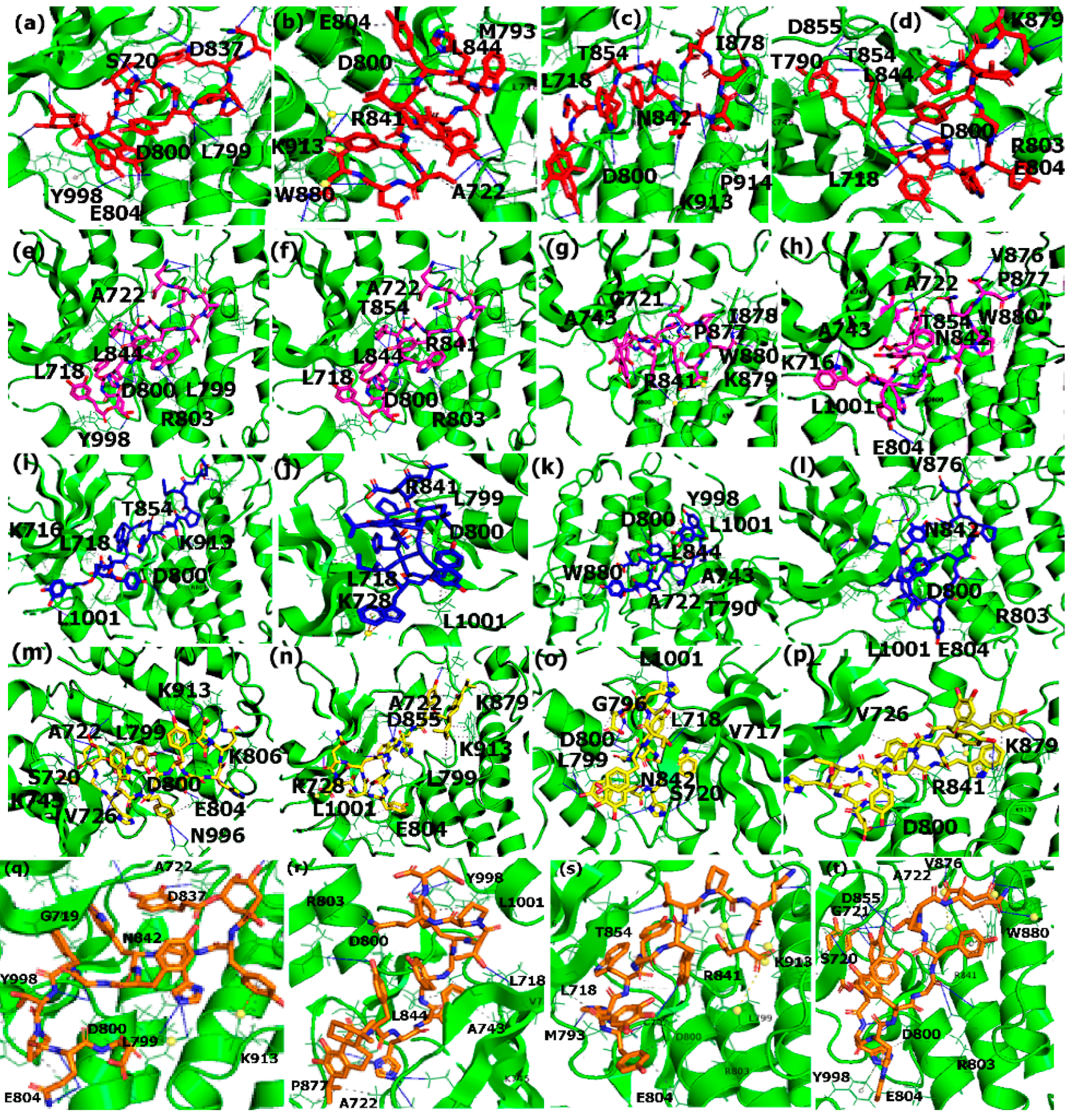 Applsci 12 00515 g007 Applsci 12 00515 g007