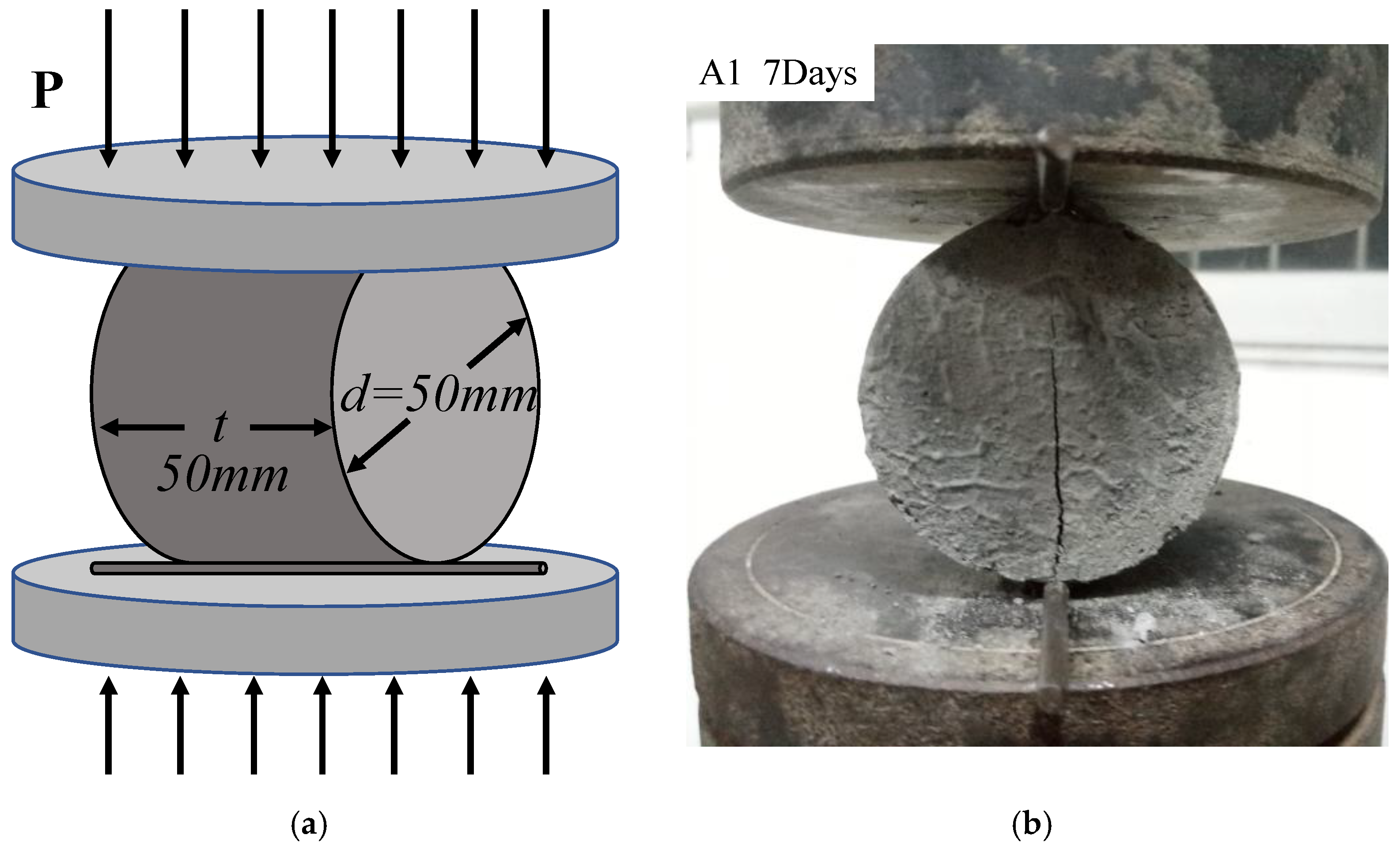 Applsci 12 00526 g003