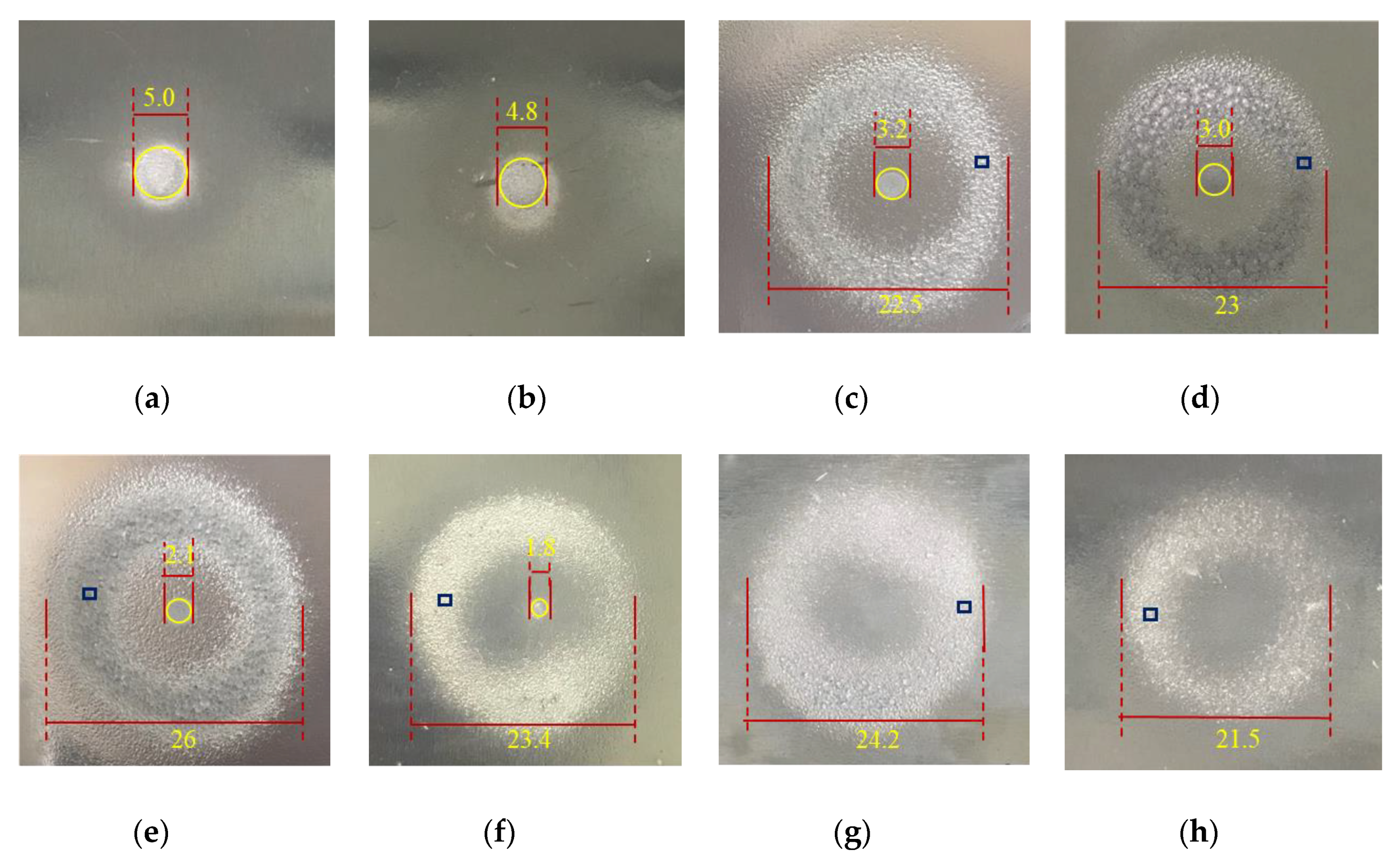 Applsci 12 00536 g007