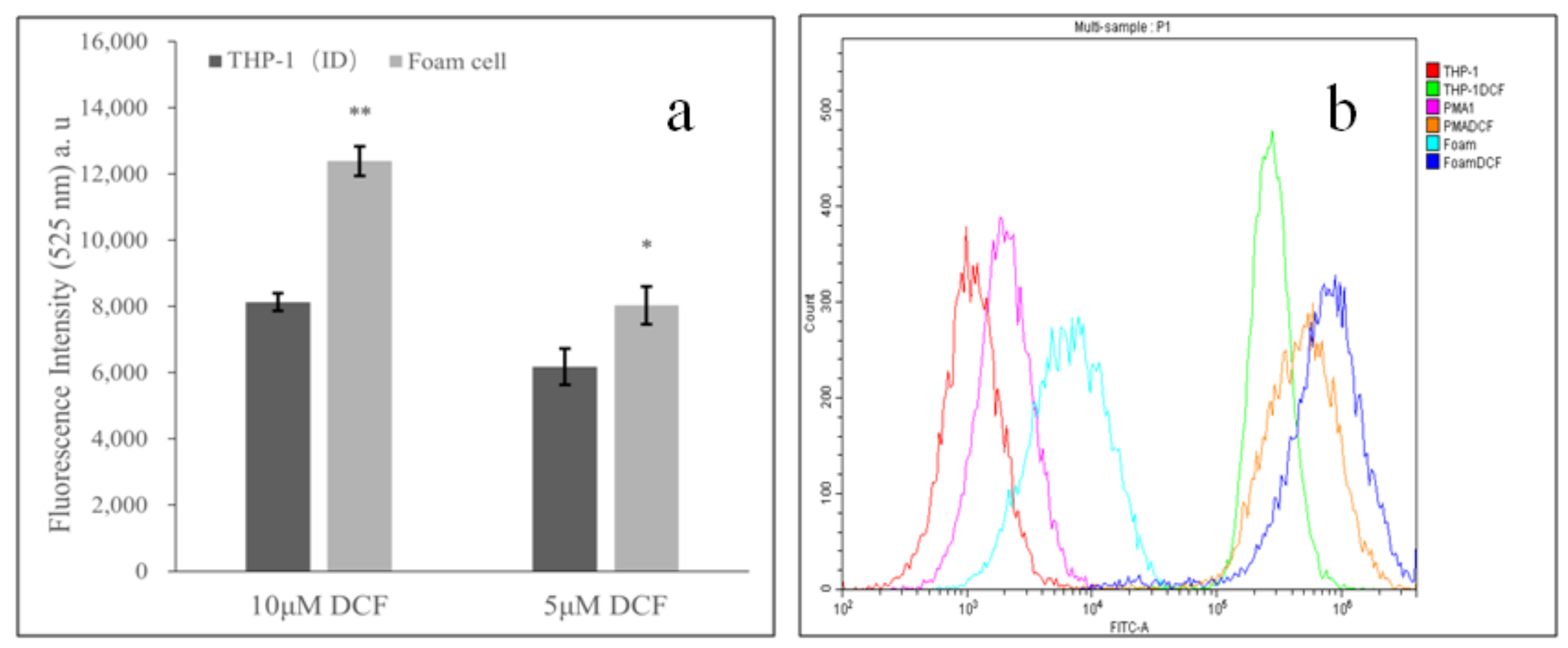 Applsci 12 00562 g003