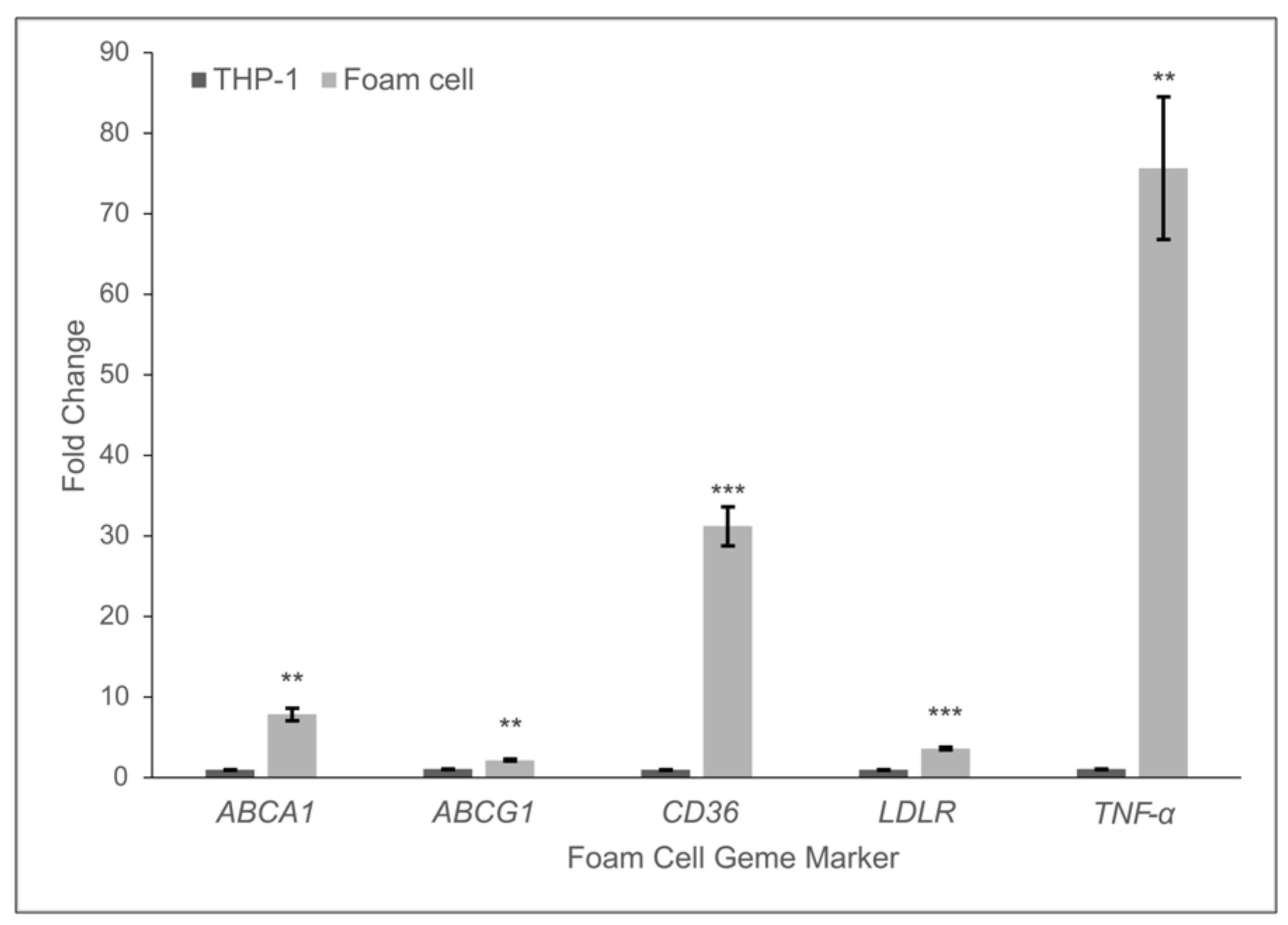 Applsci 12 00562 g004