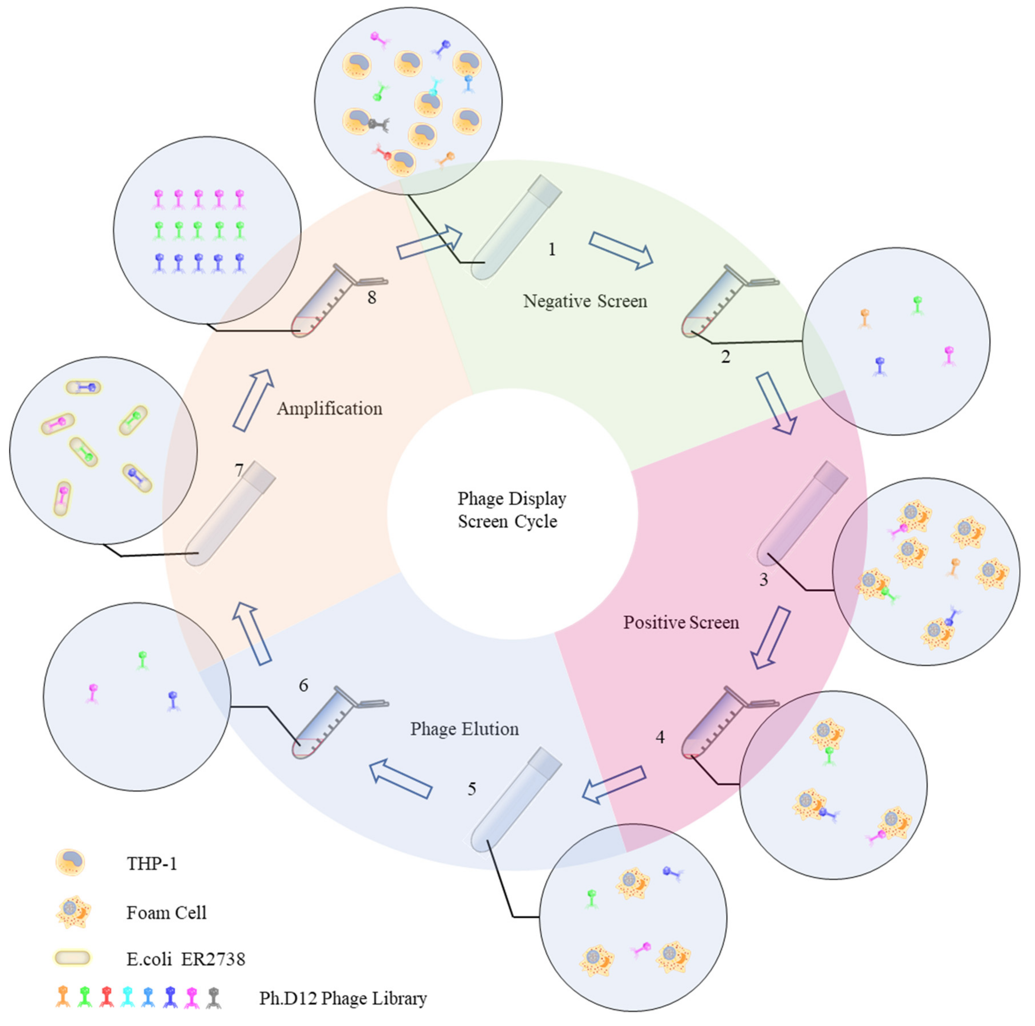 Applsci 12 00562 g005