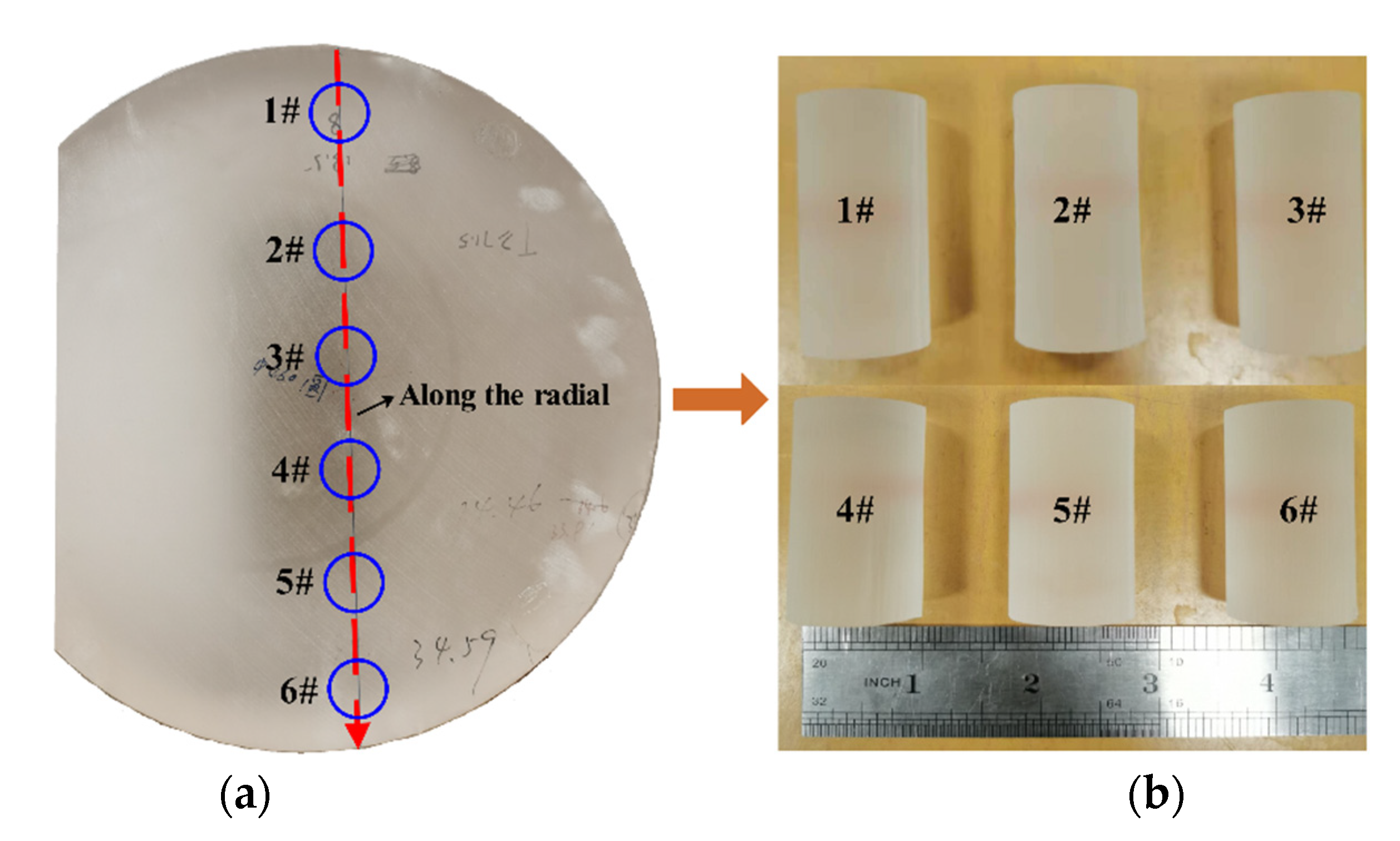 Applsci 12 00577 g003