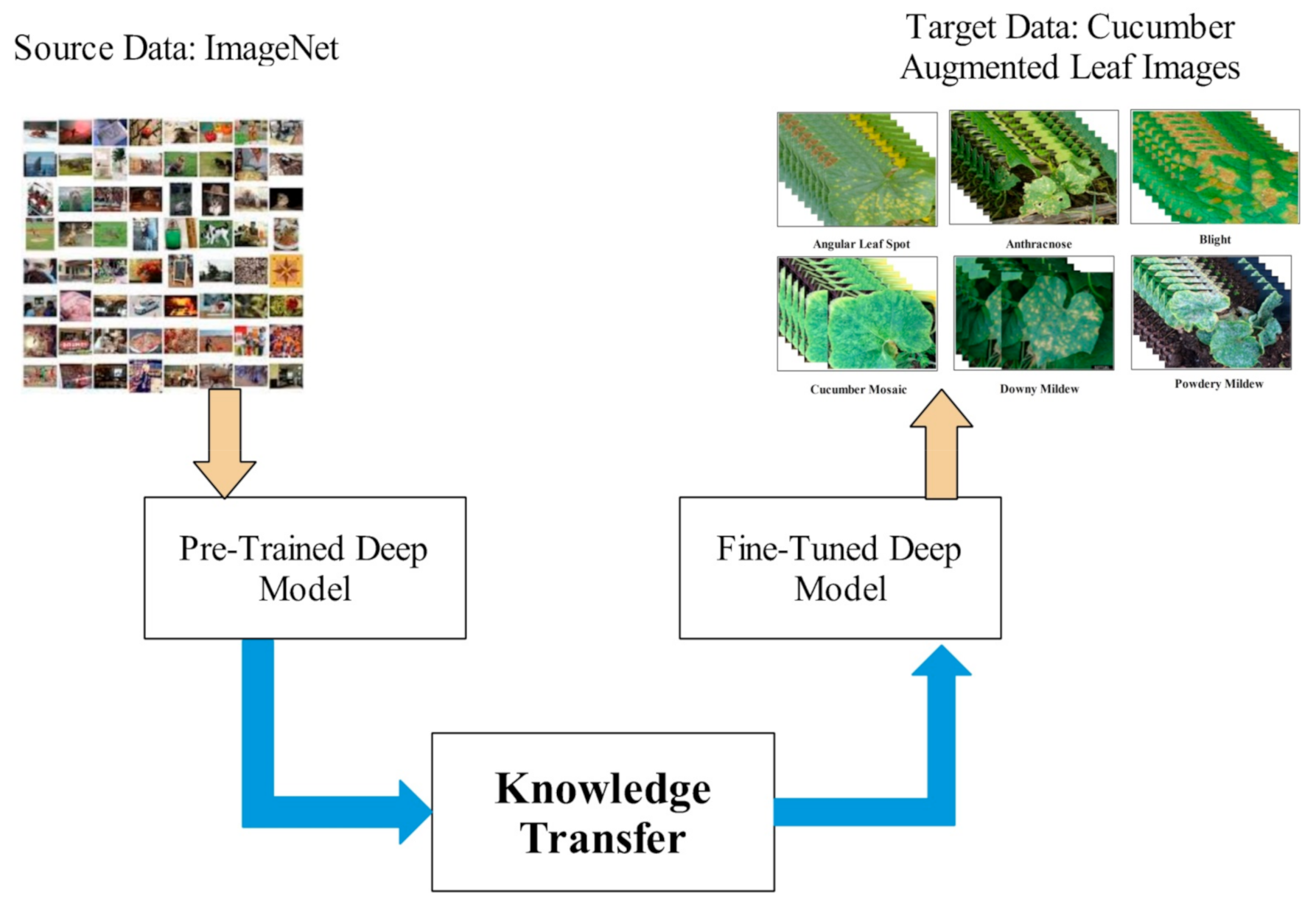 Applsci 12 00593 g003