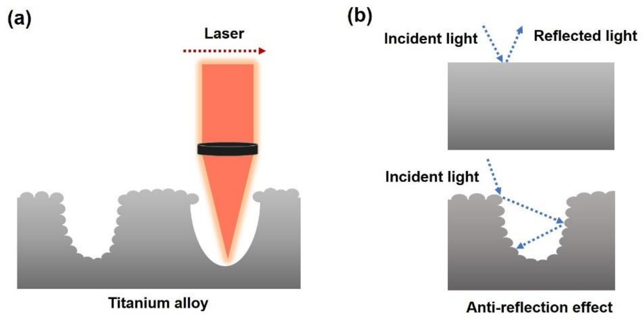 Applsci 12 00608 g001